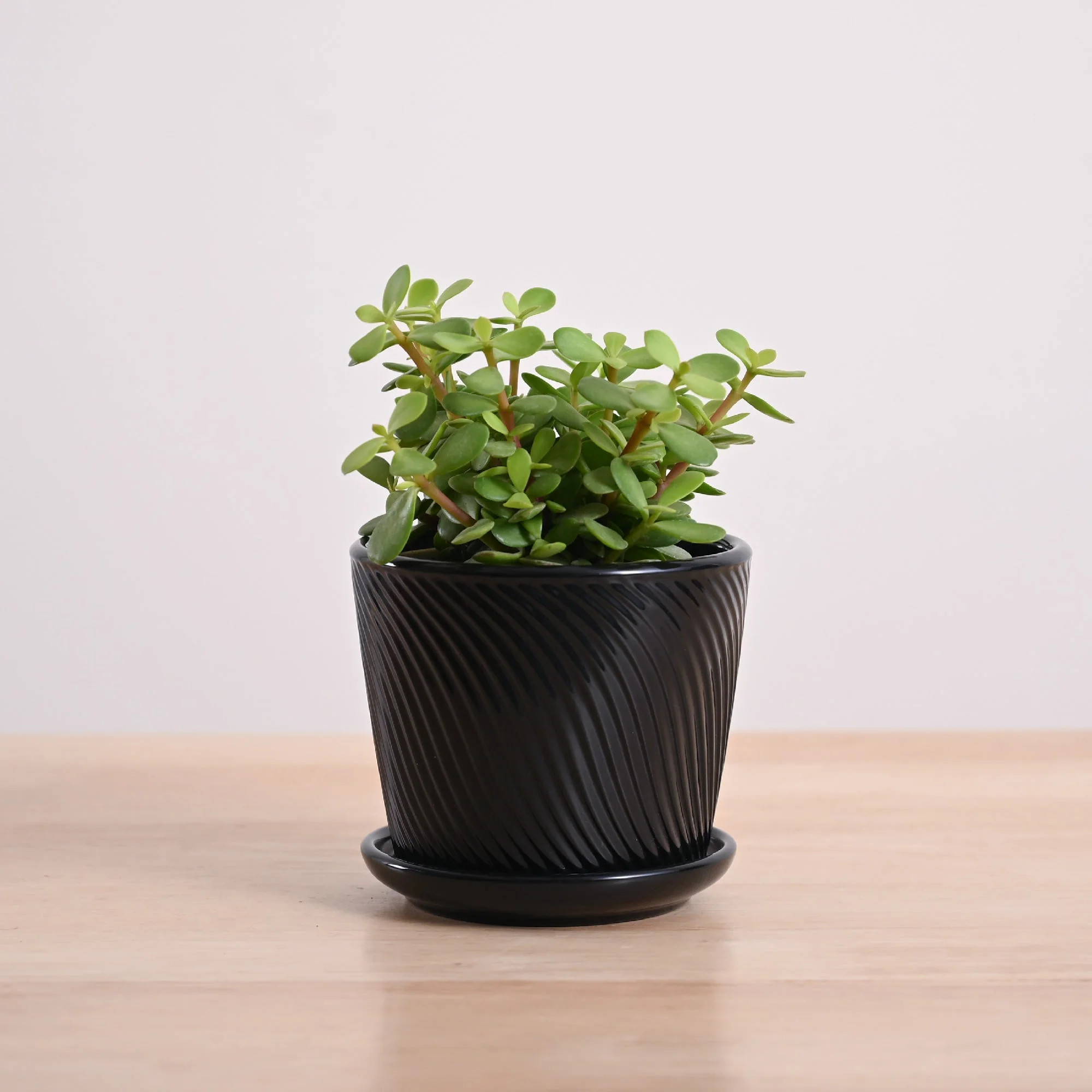 Product image 94