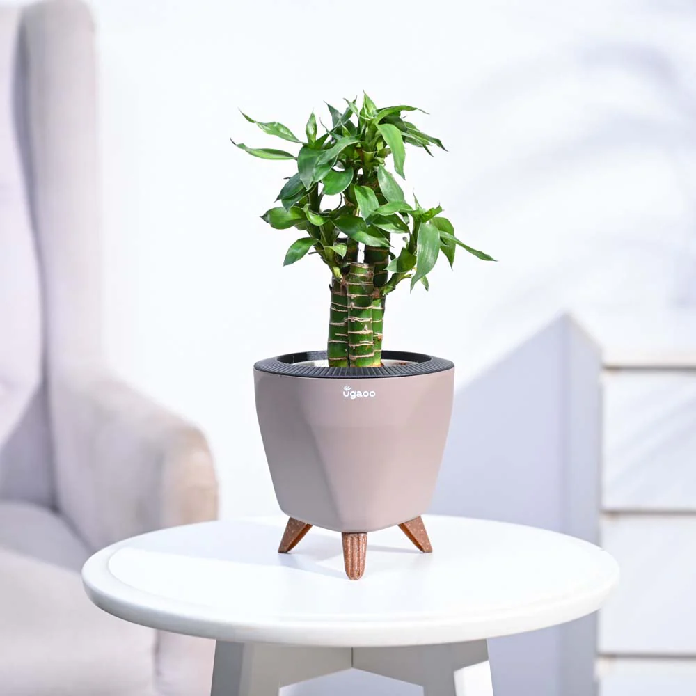 Product image 106