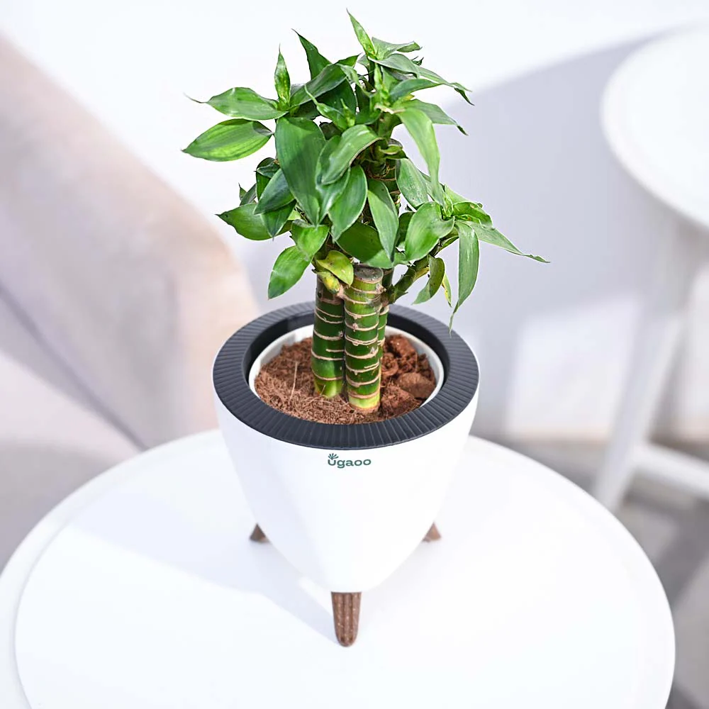 Product image 144