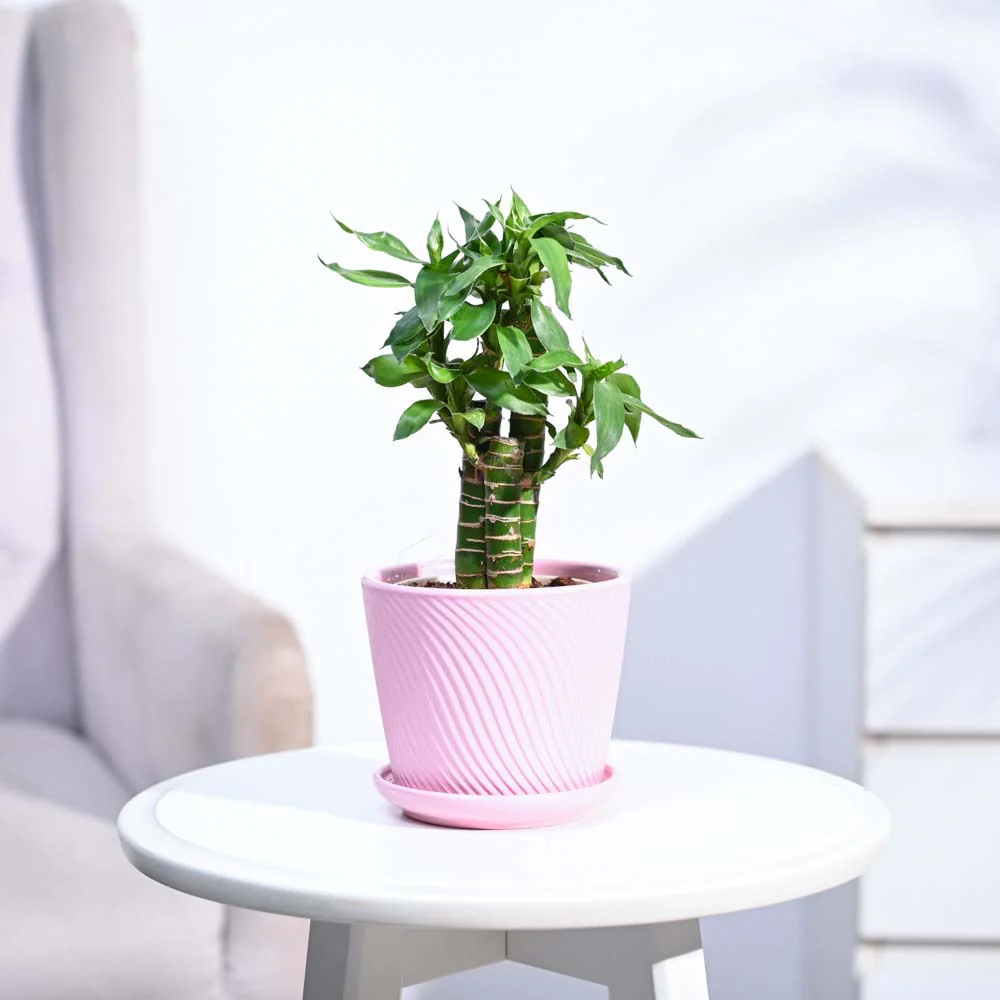 Product image 190