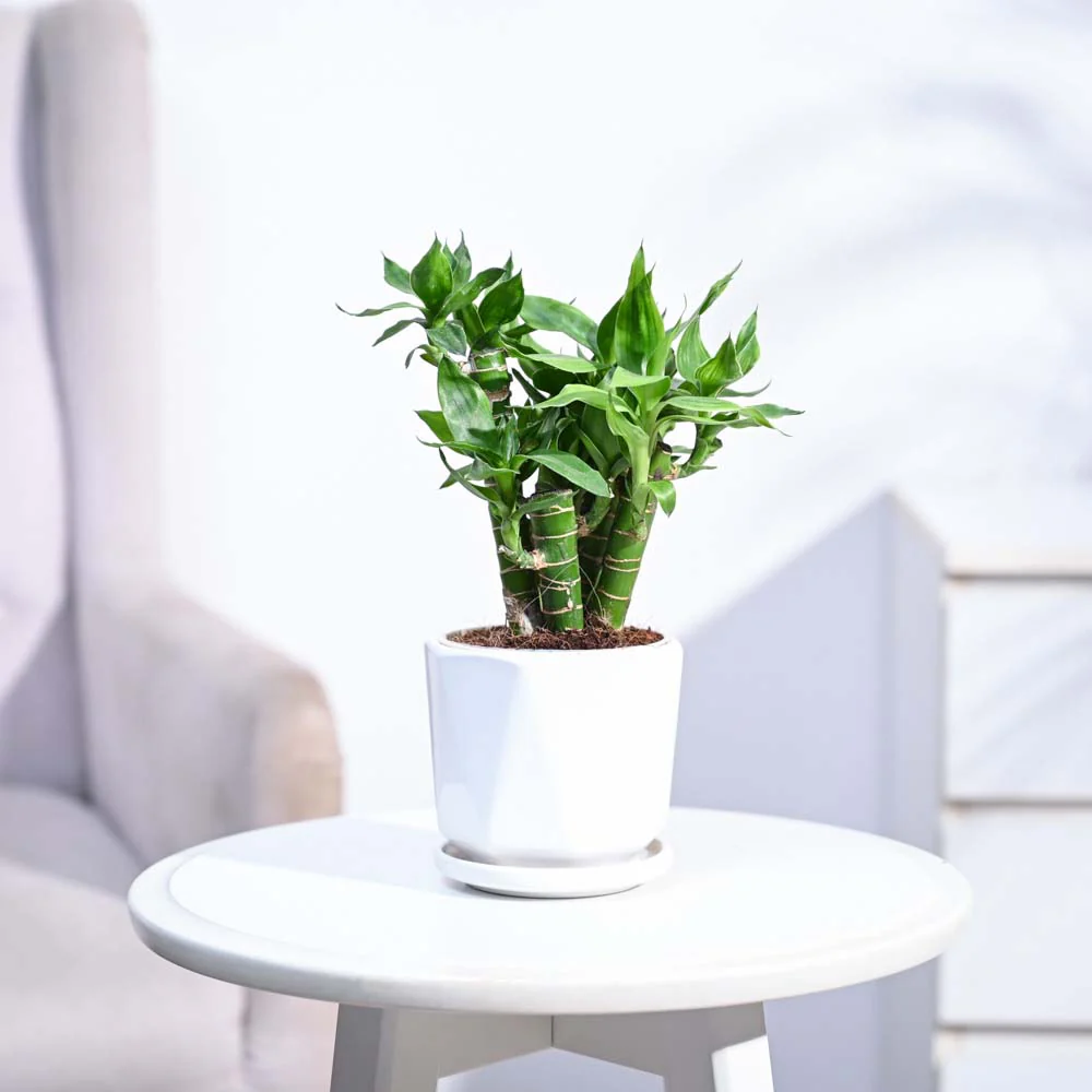 Product image 127