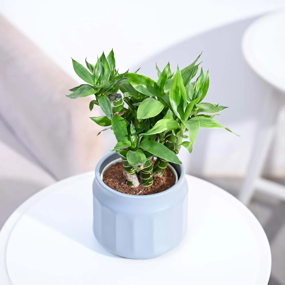 Product image 130