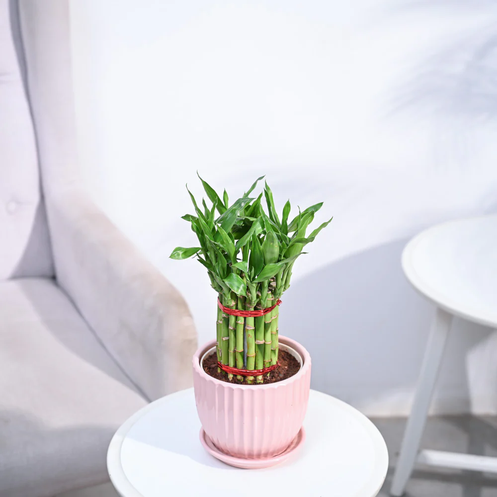Product image 149
