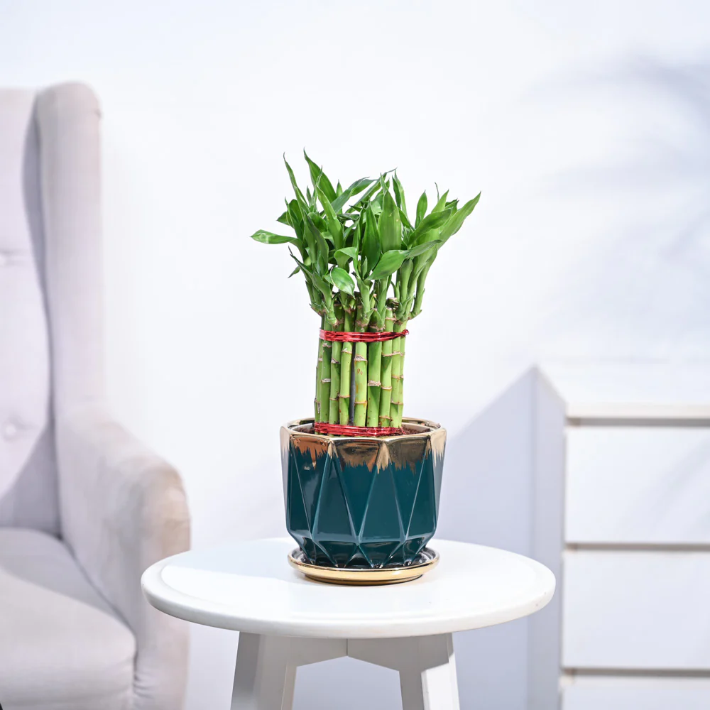 Product image 90
