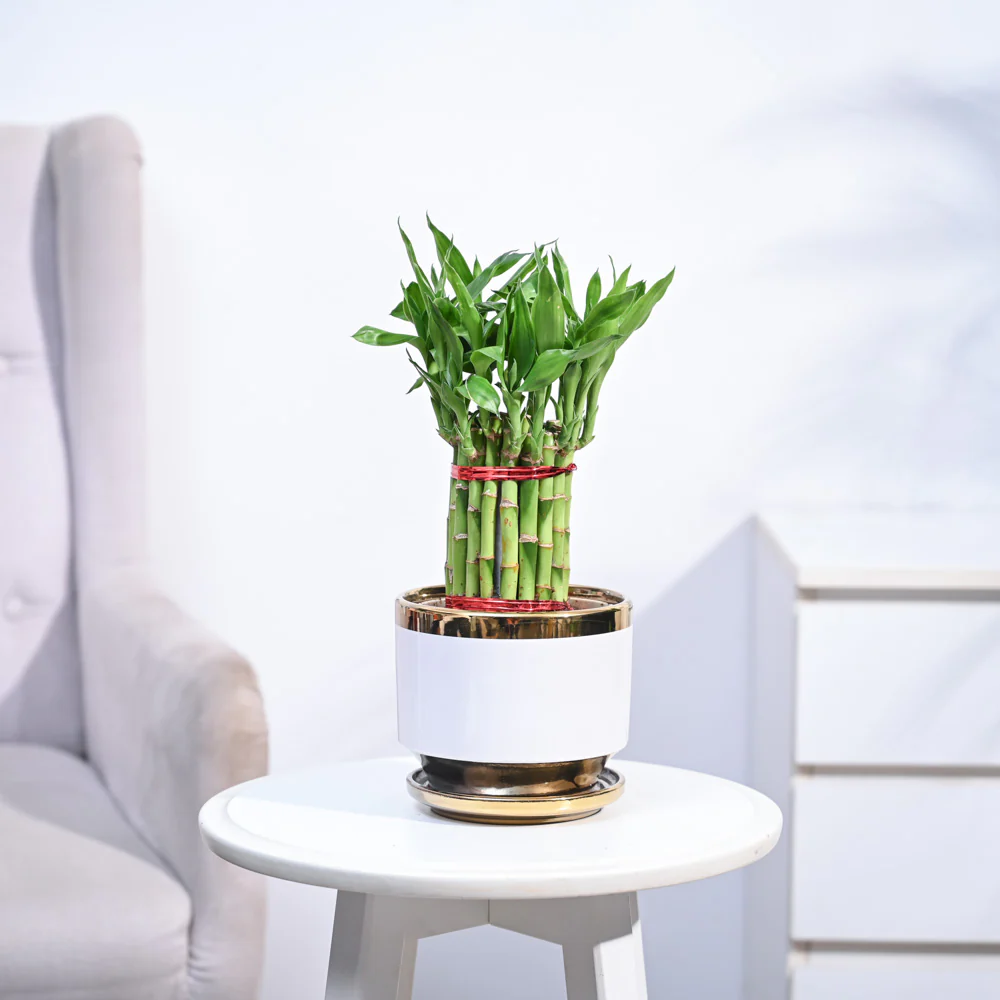 Product image 98