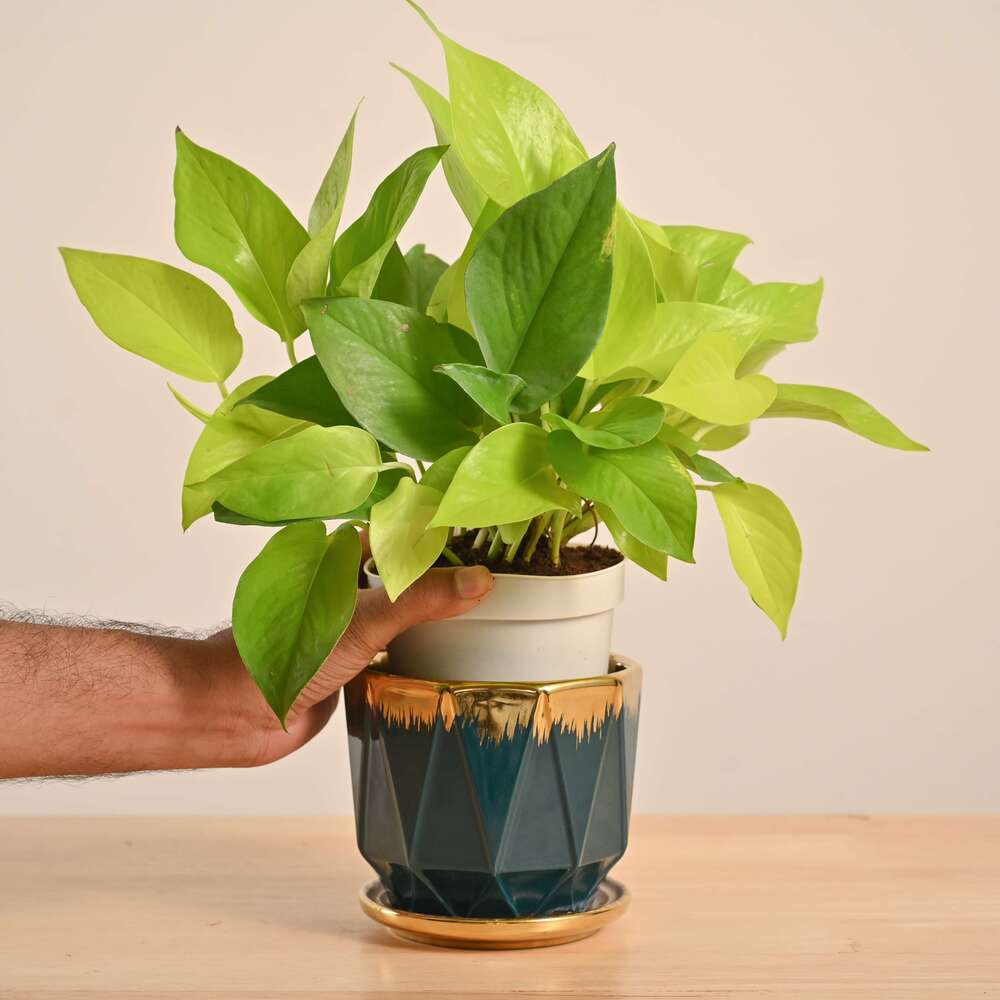 Product image 126