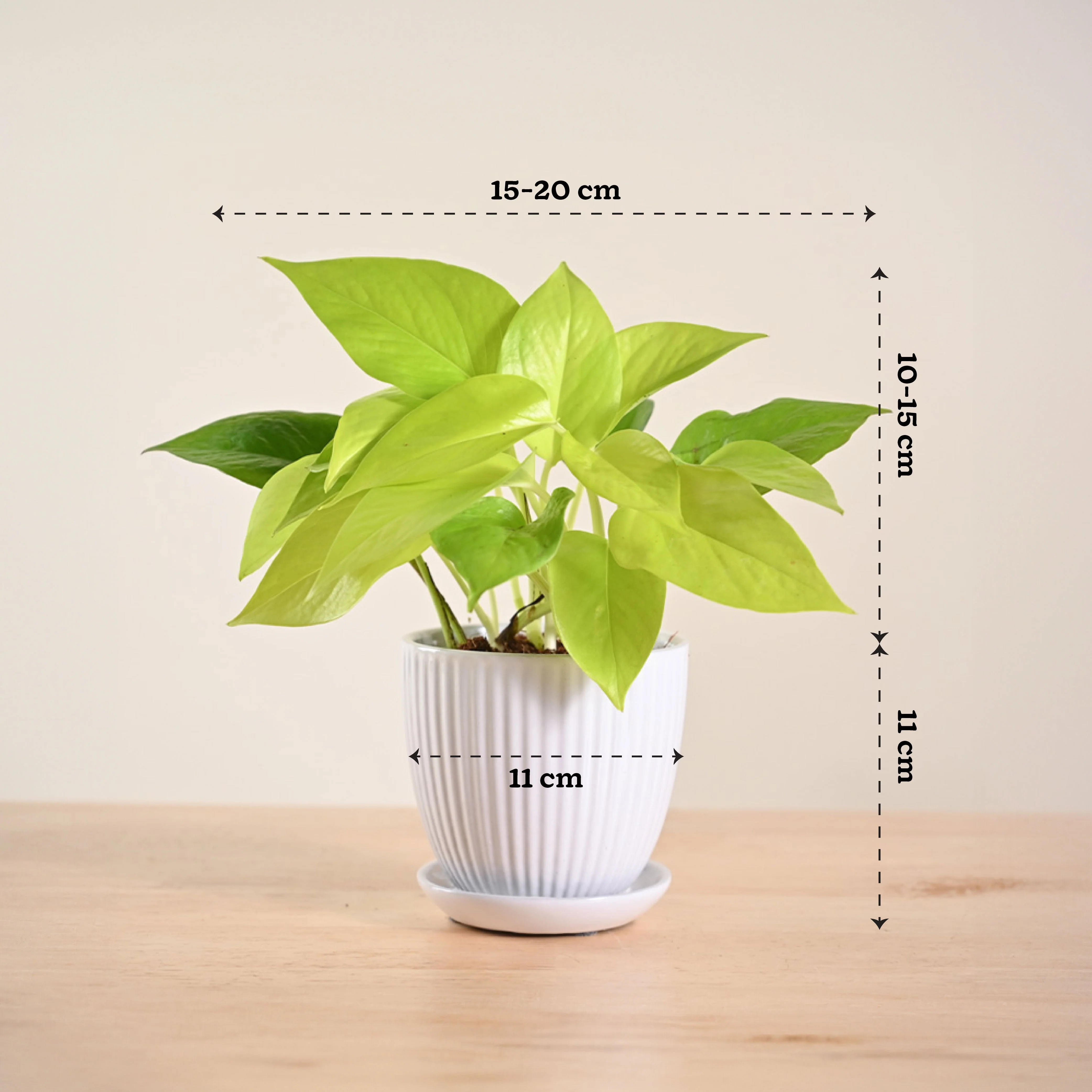 Product image 163