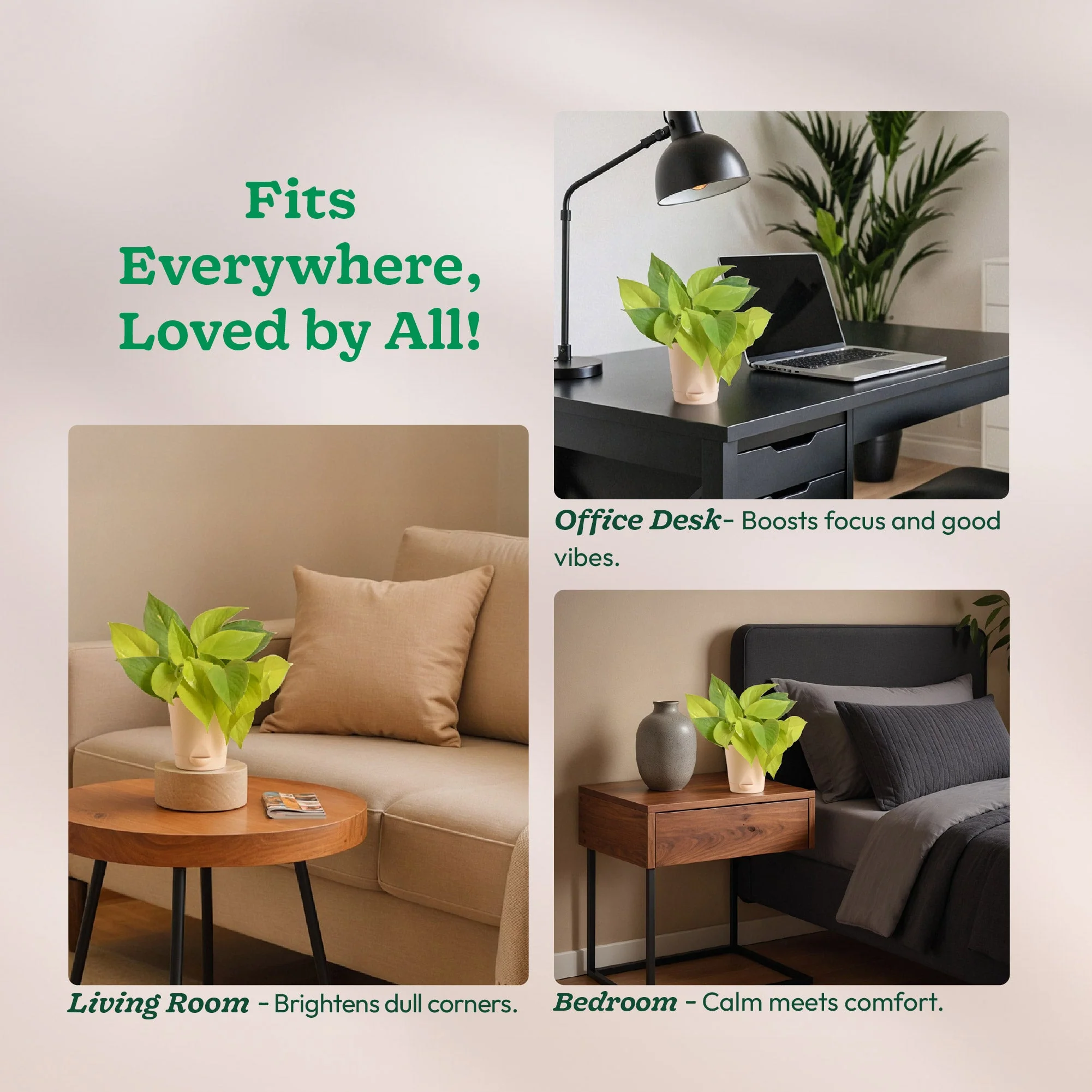 Product image 170