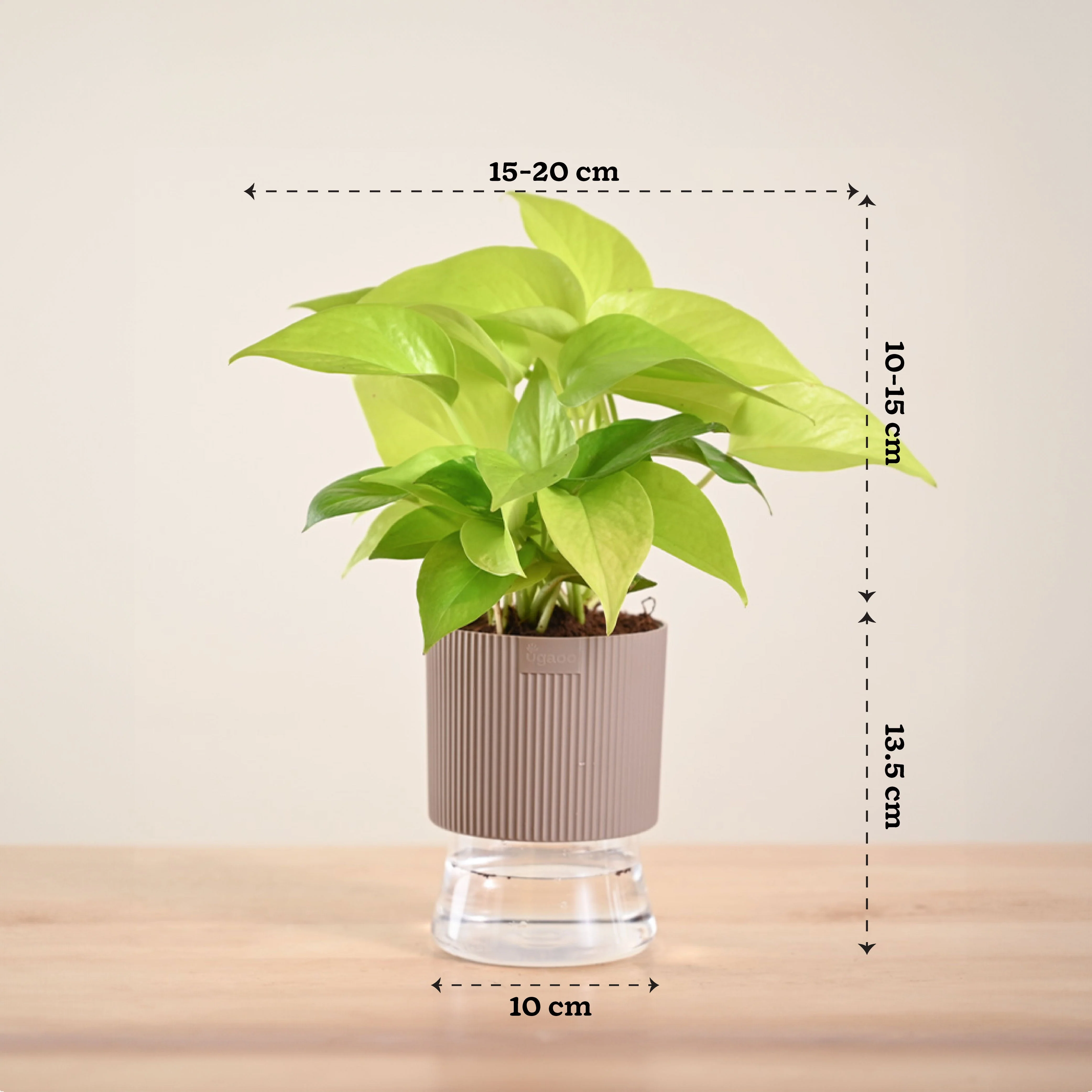 Product image 199
