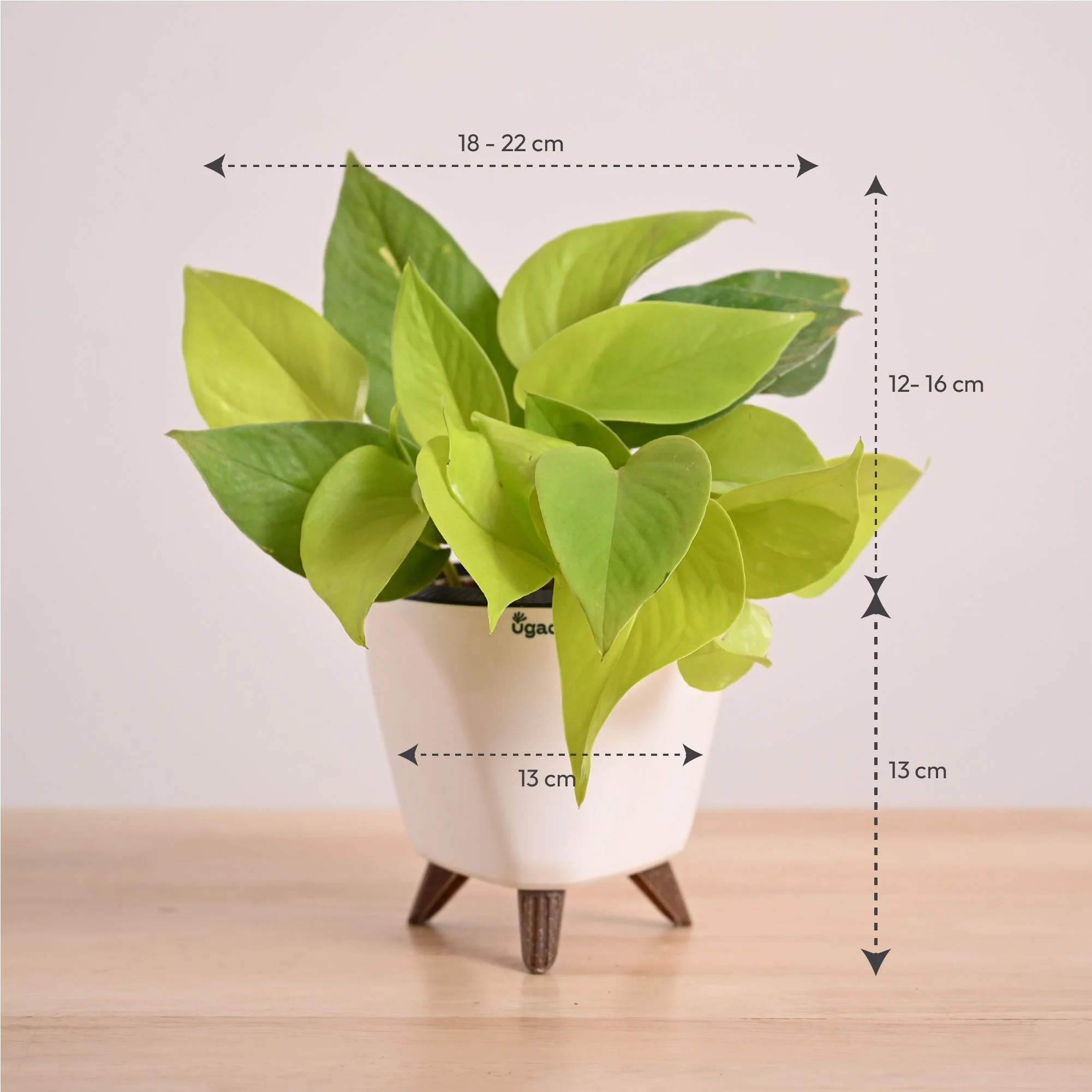 Product image 44