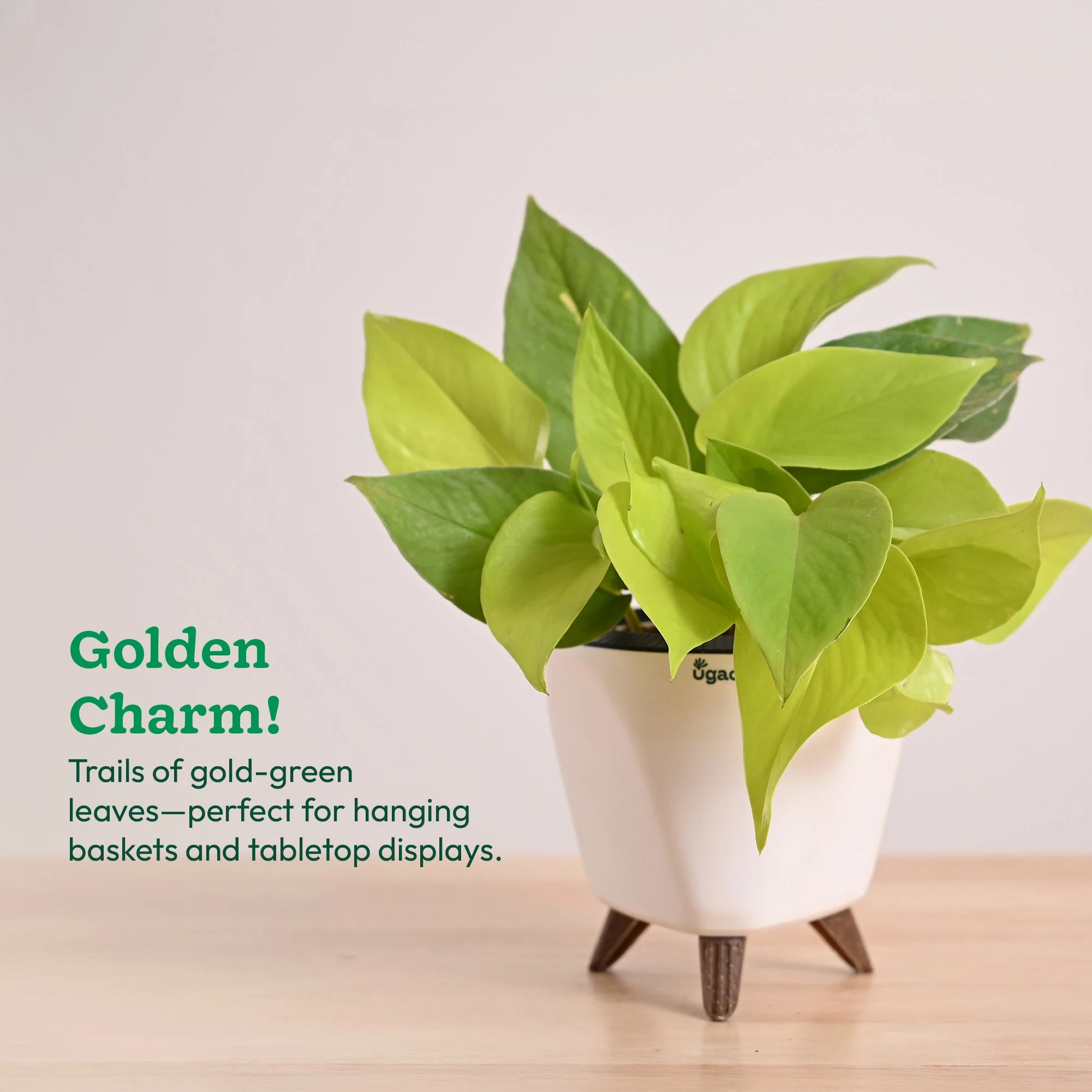Product image 52