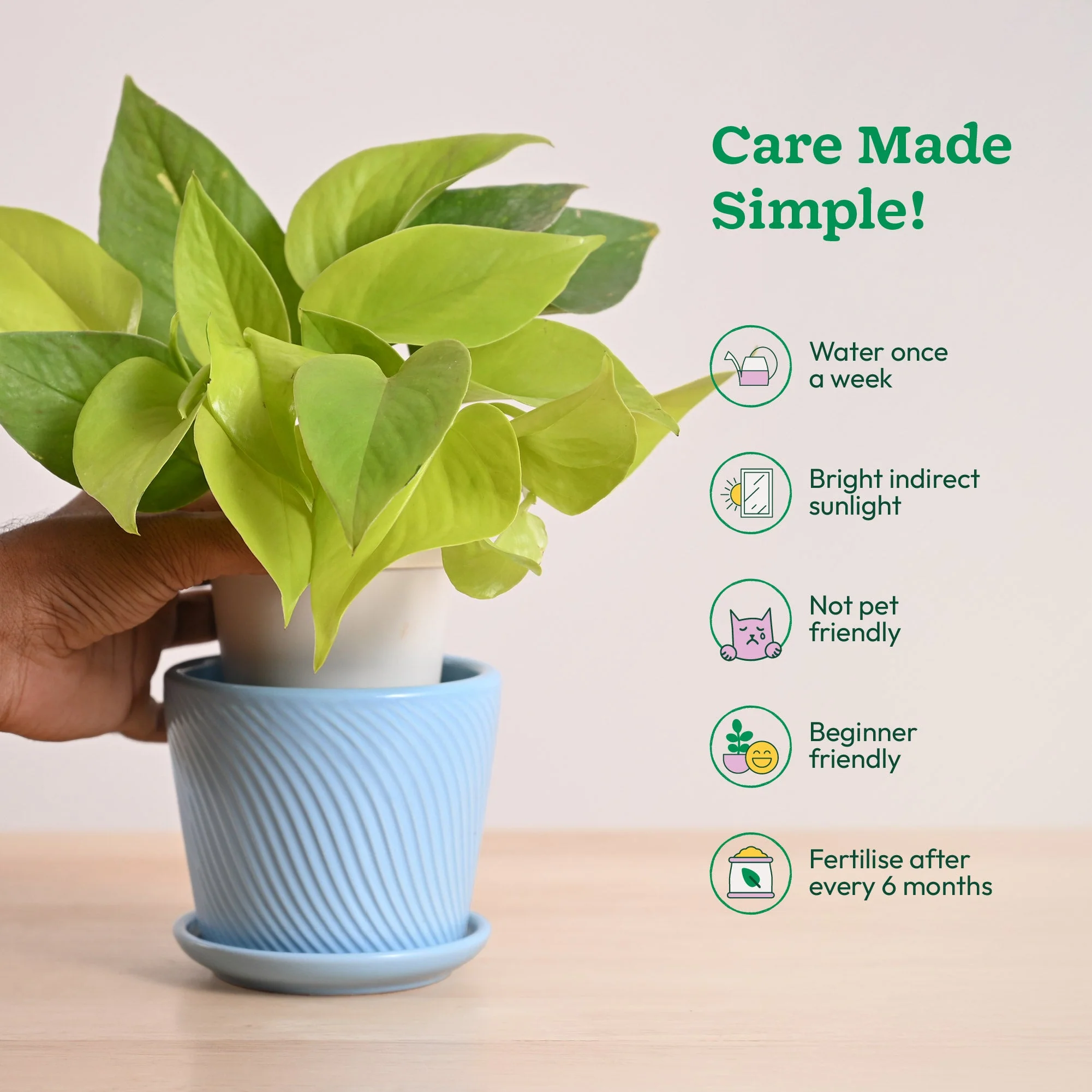 Product image 71