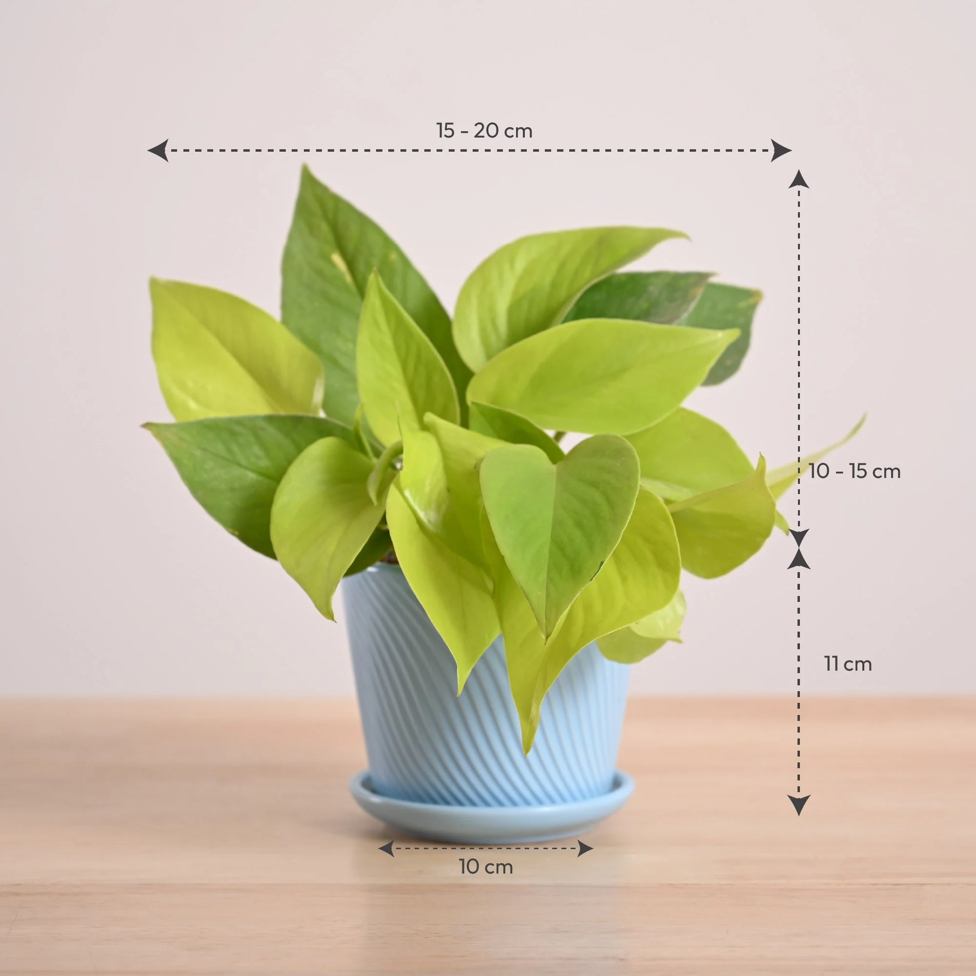 Product image 74