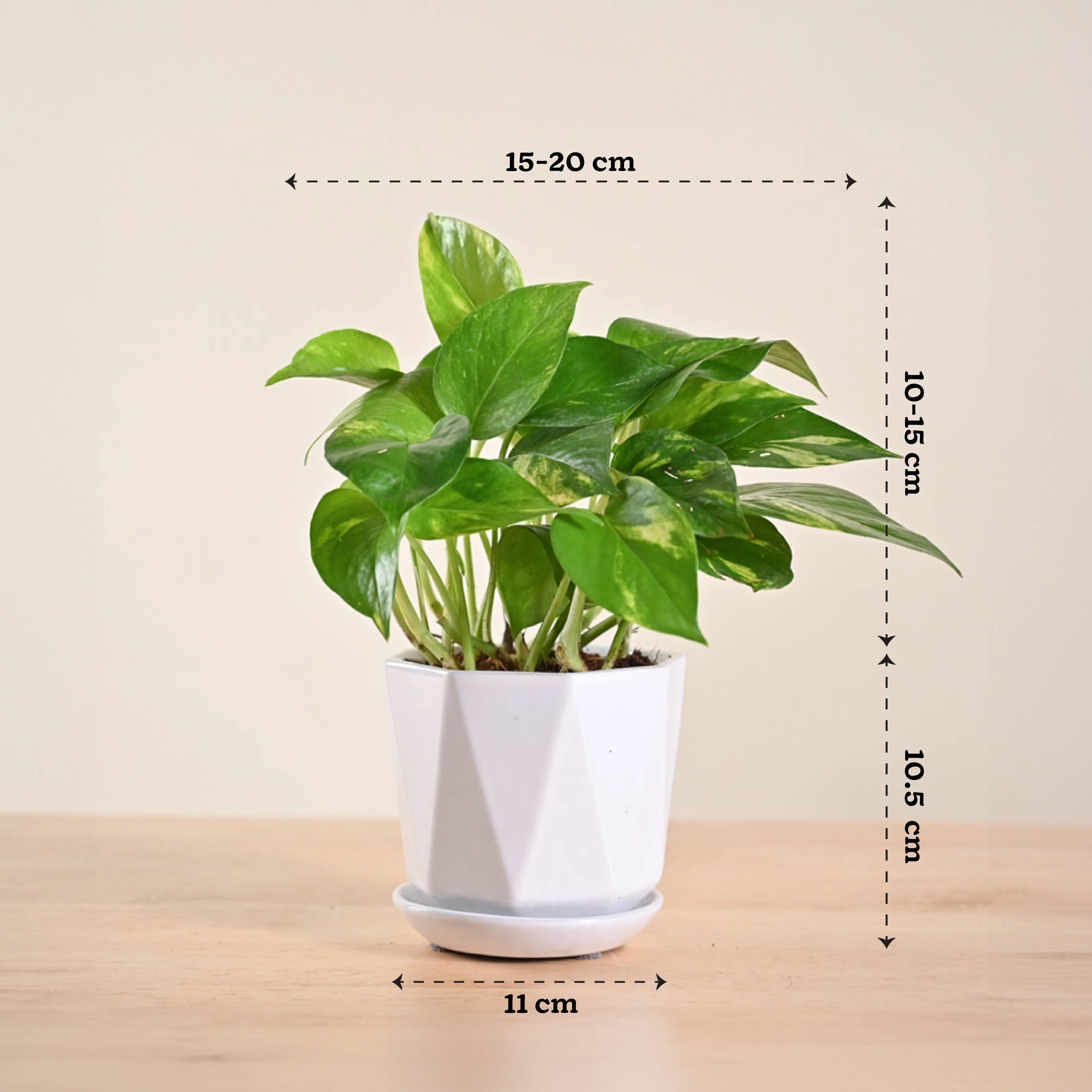 Product image 147
