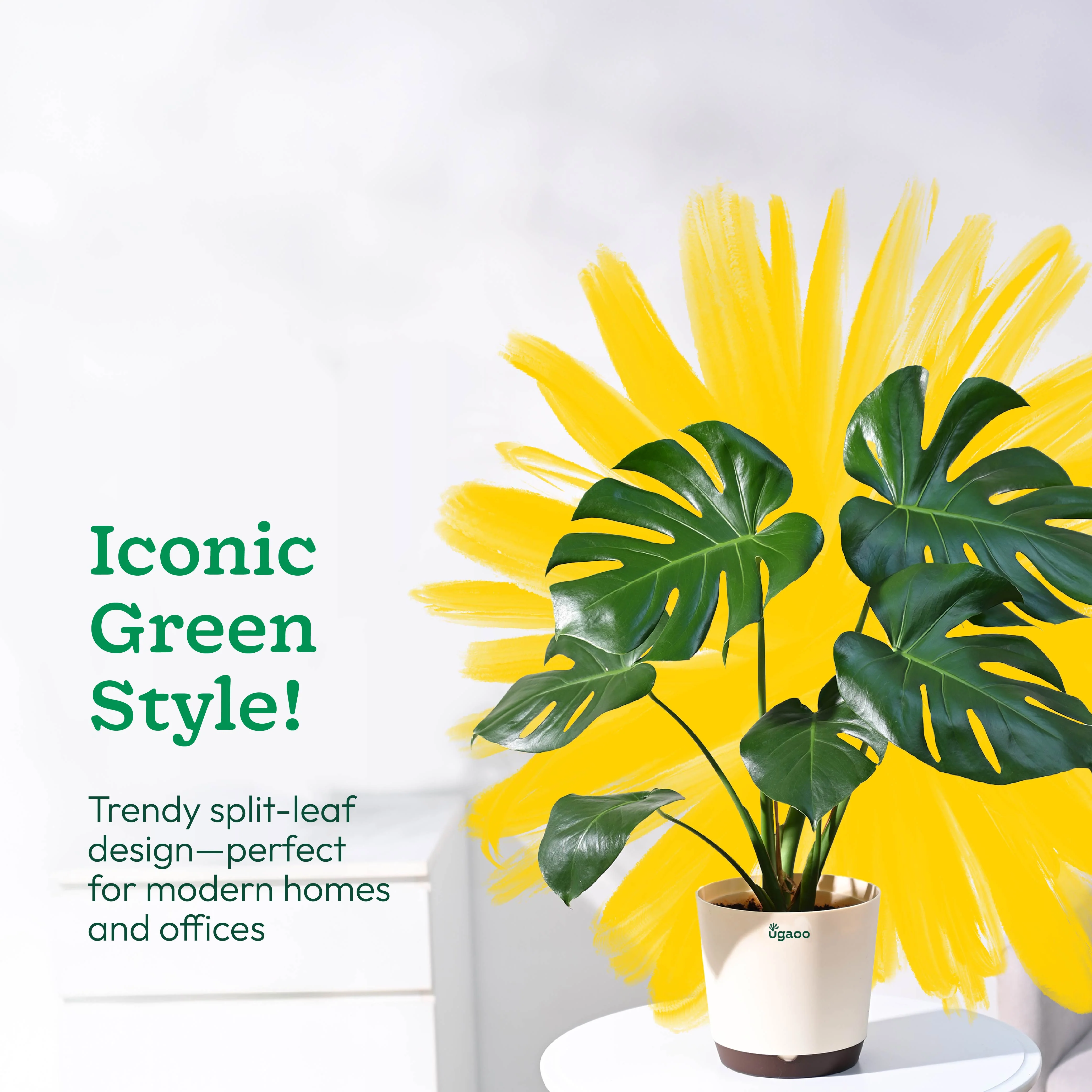 Product image 62