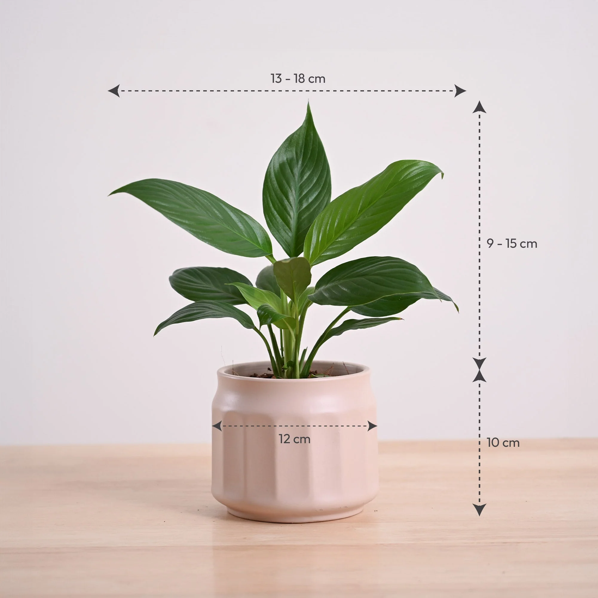 Product image 112