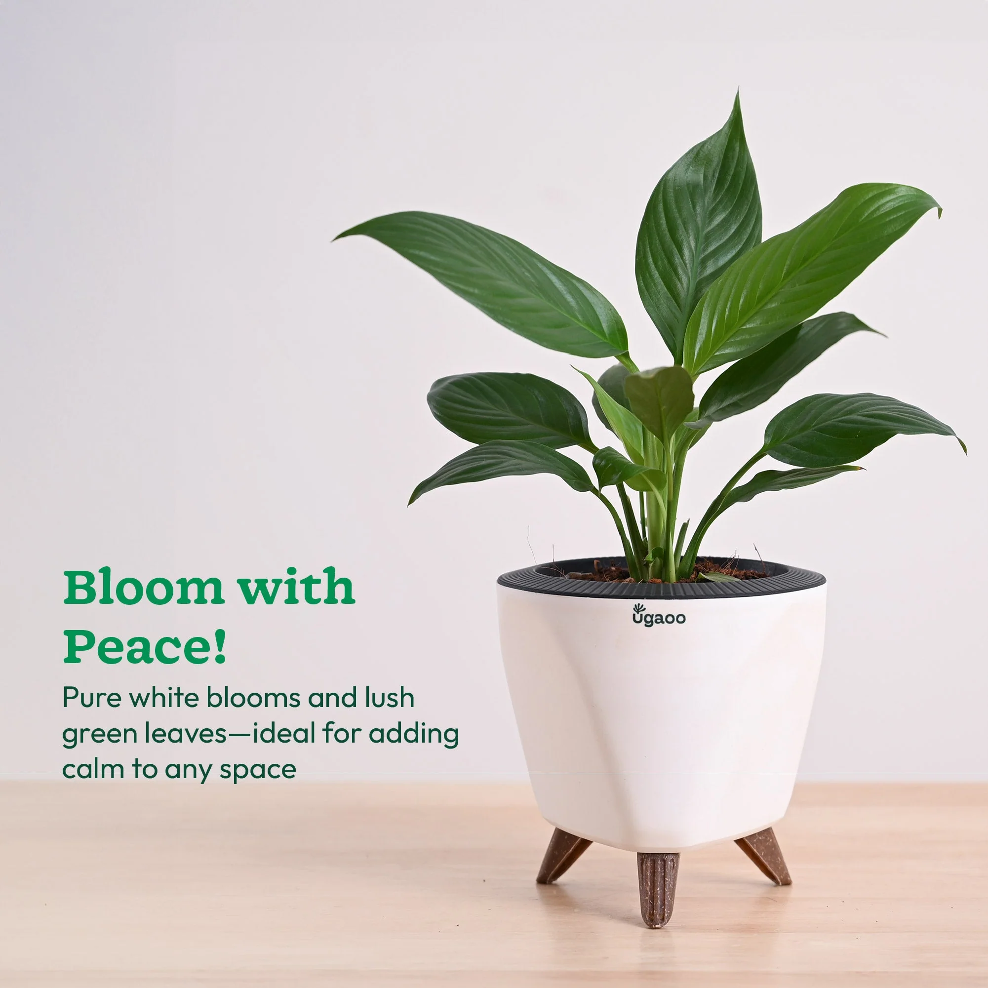 Product image 115