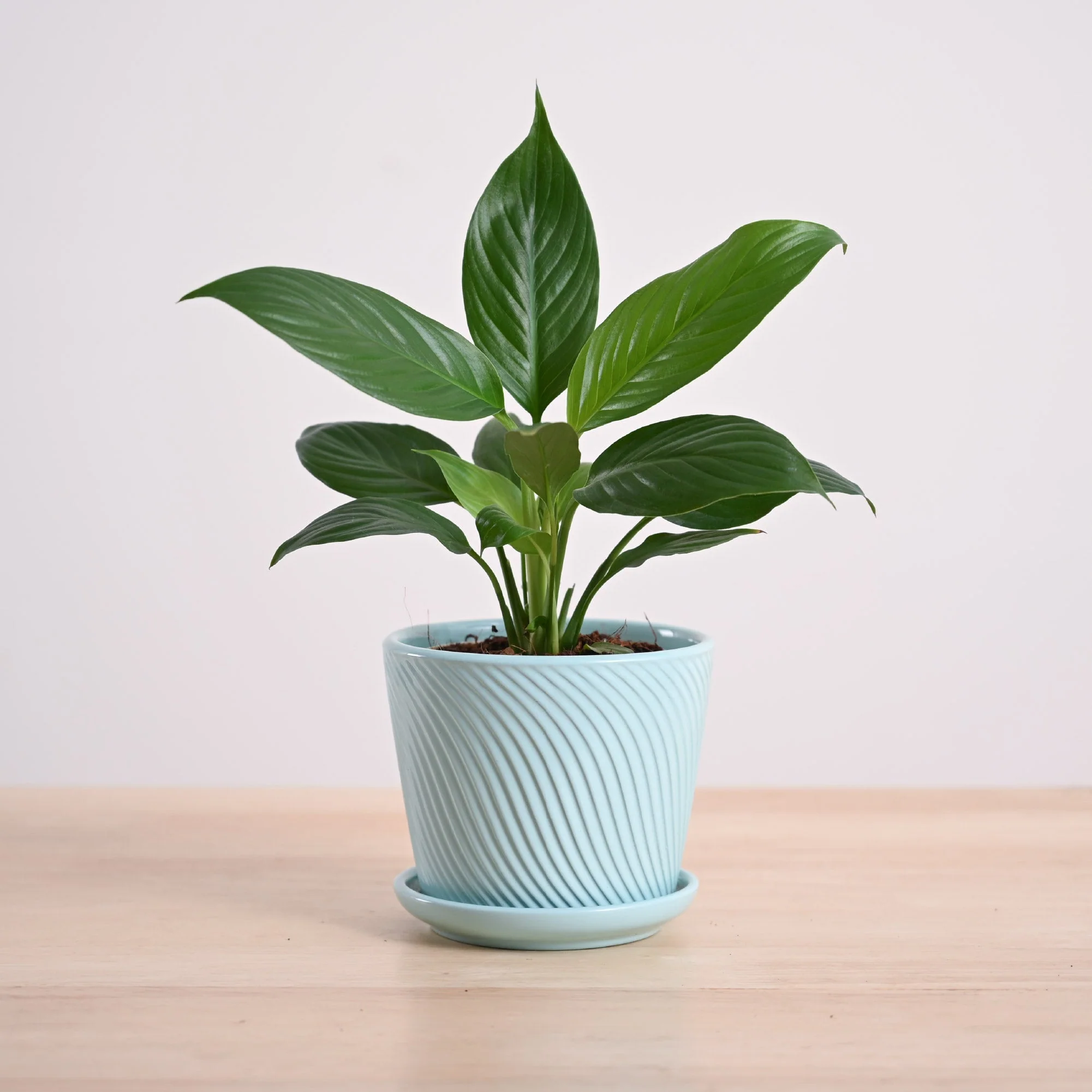 Product image 155
