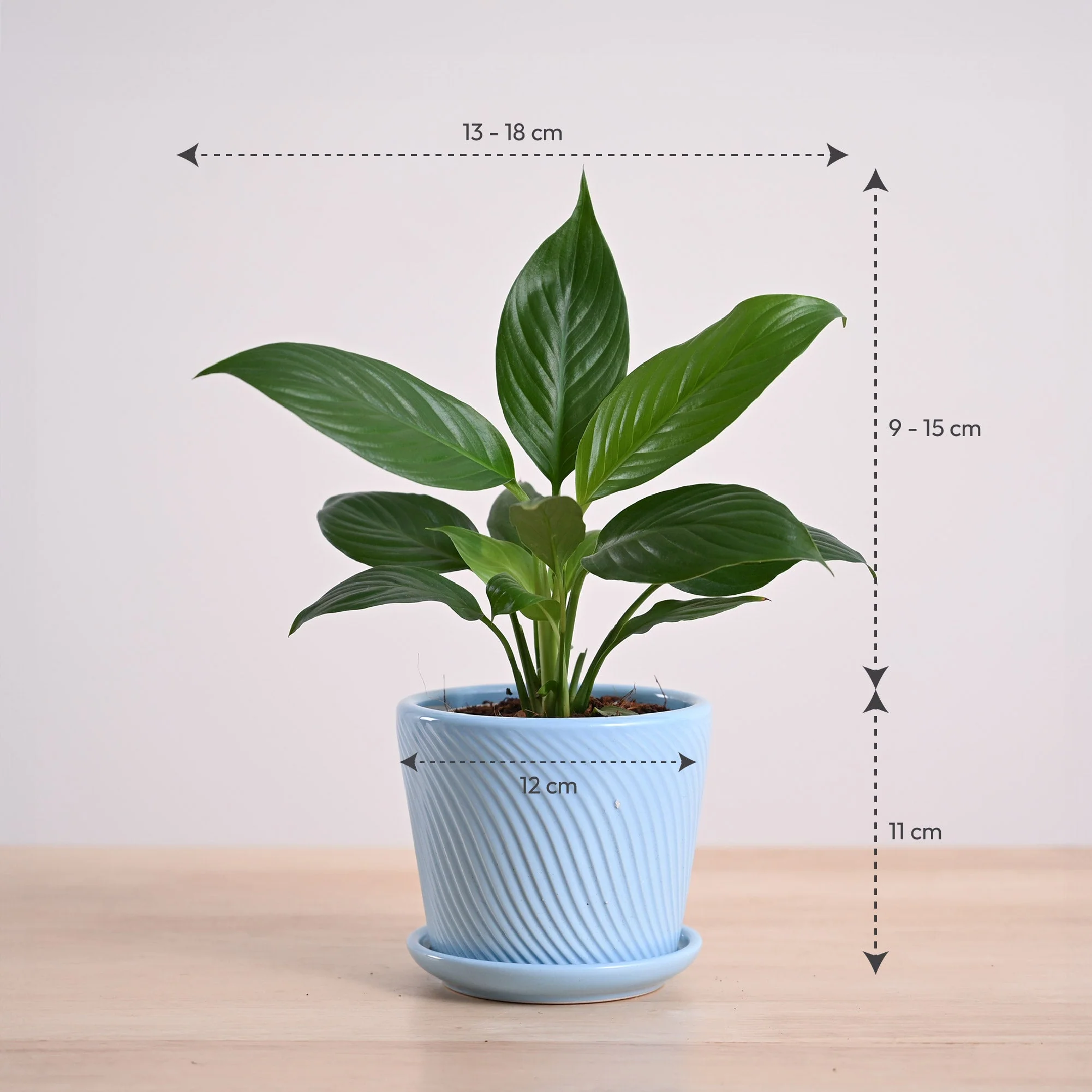 Product image 162