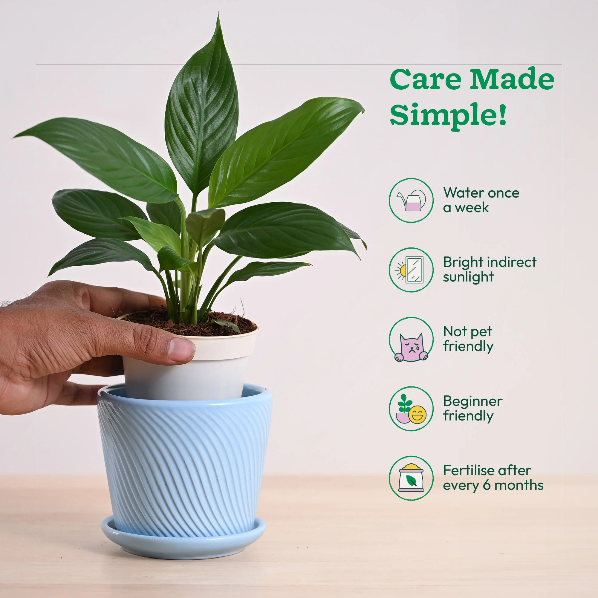 Product image 164