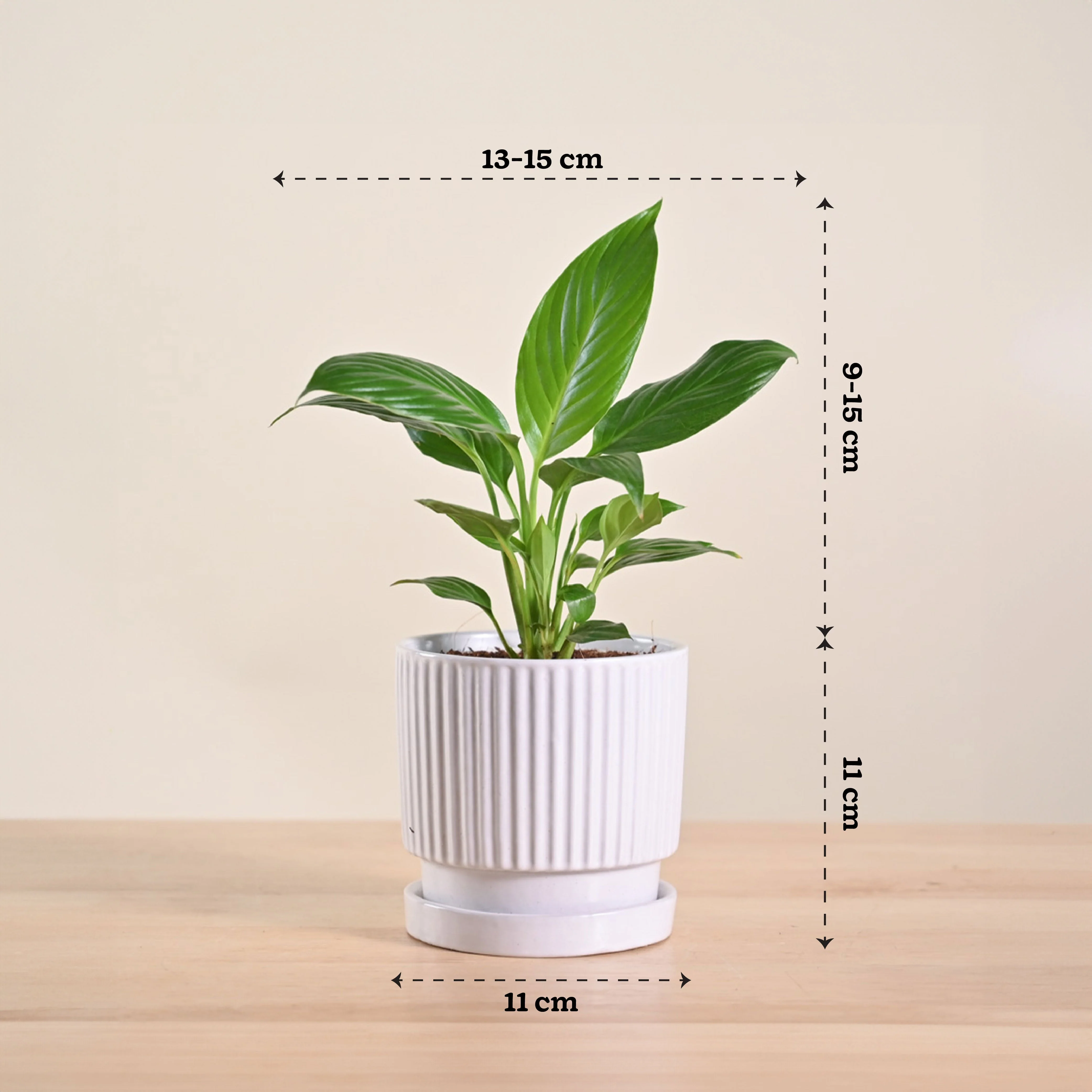Product image 194