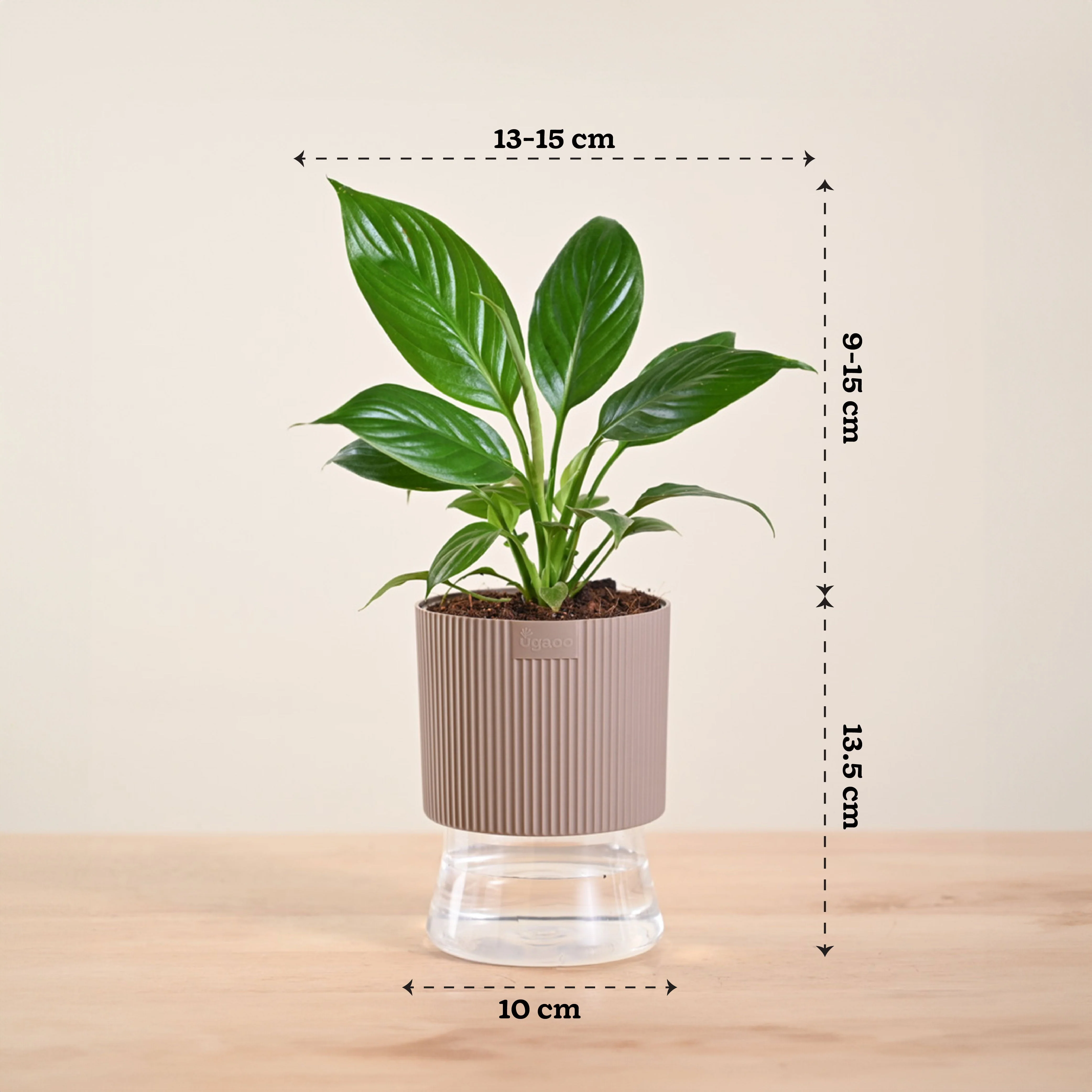 Product image 222