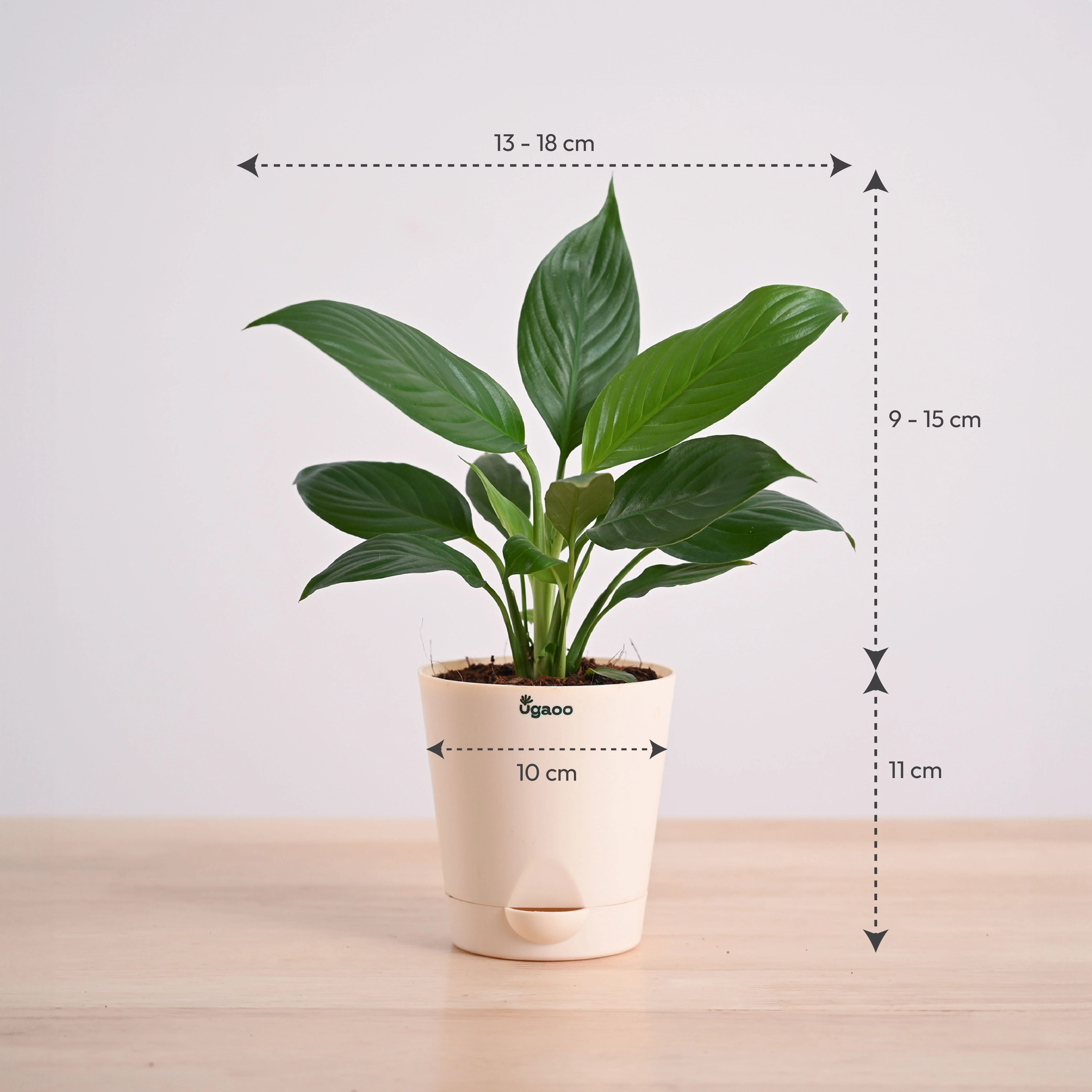 Product image 64