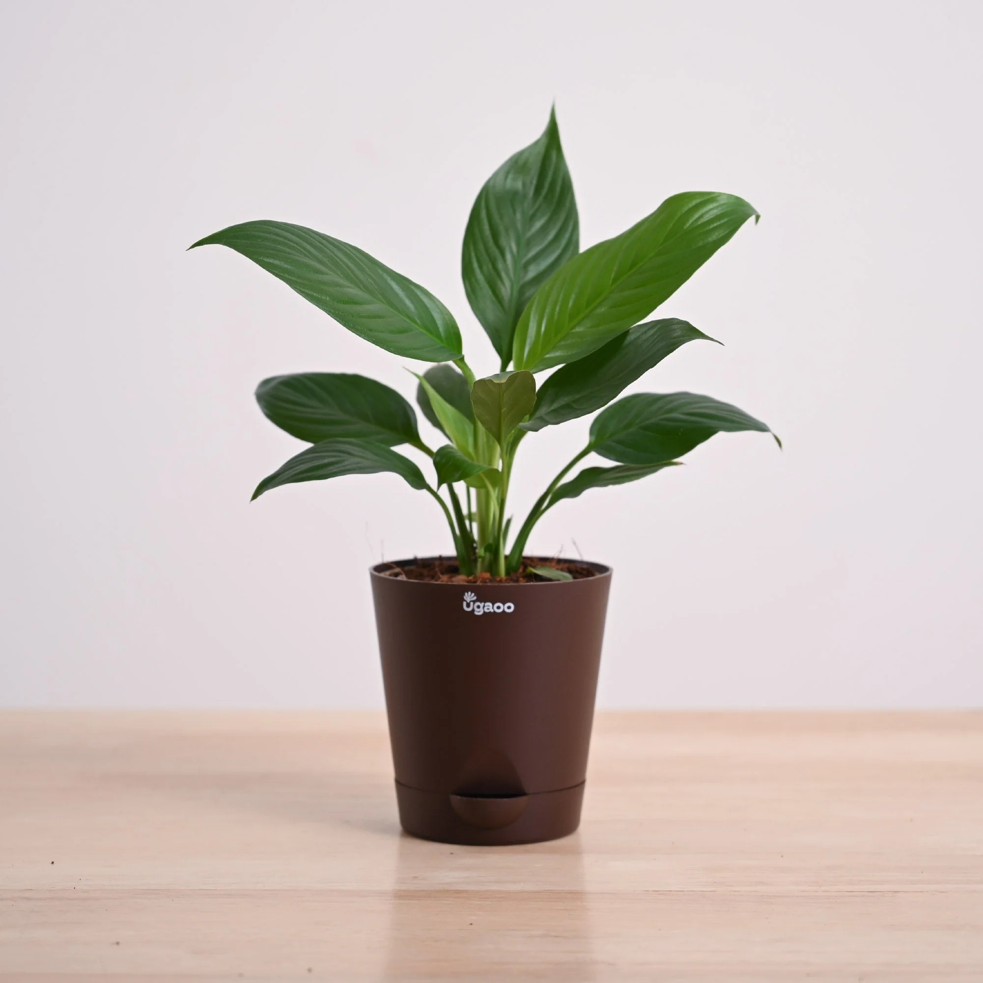 Product image 90