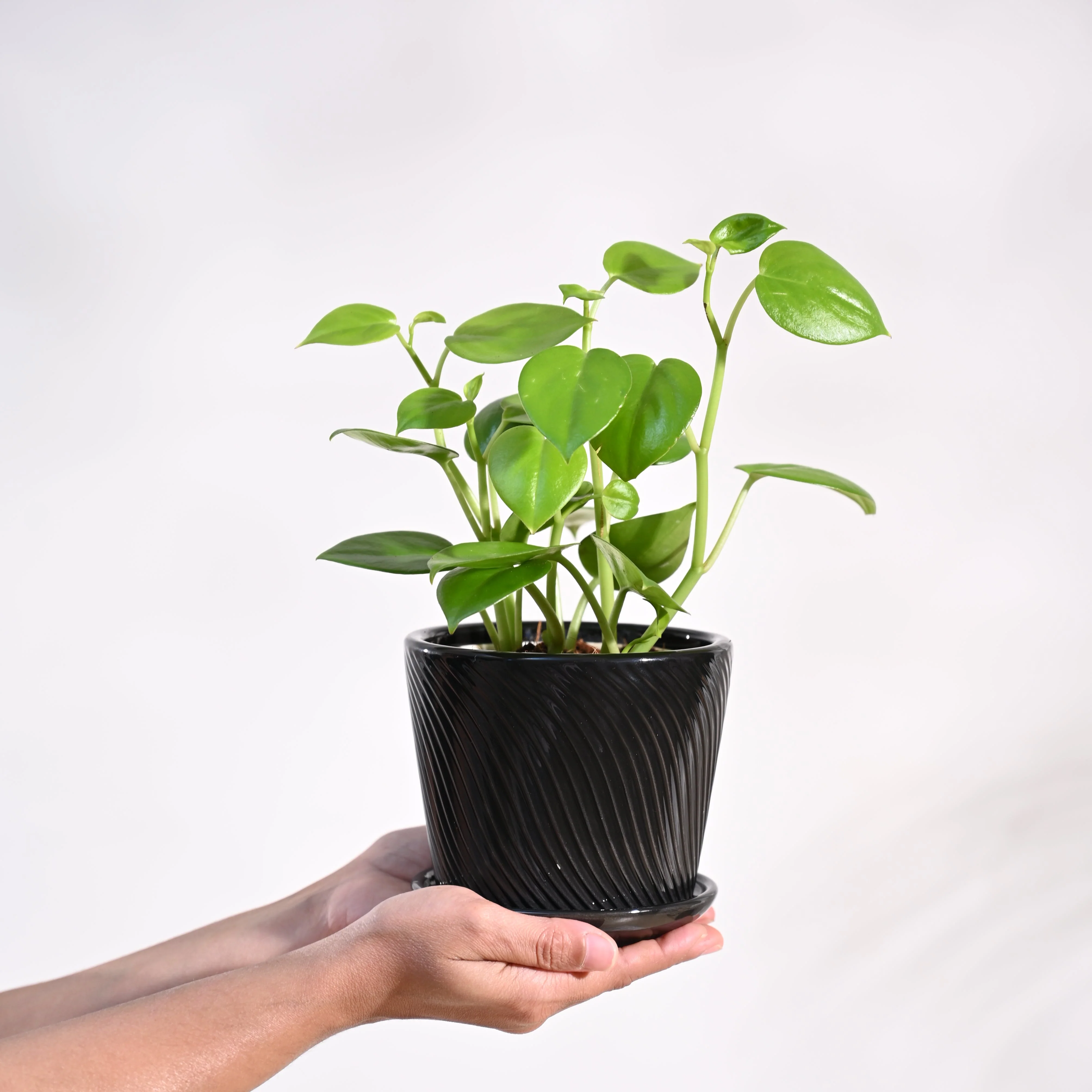 Product image 105