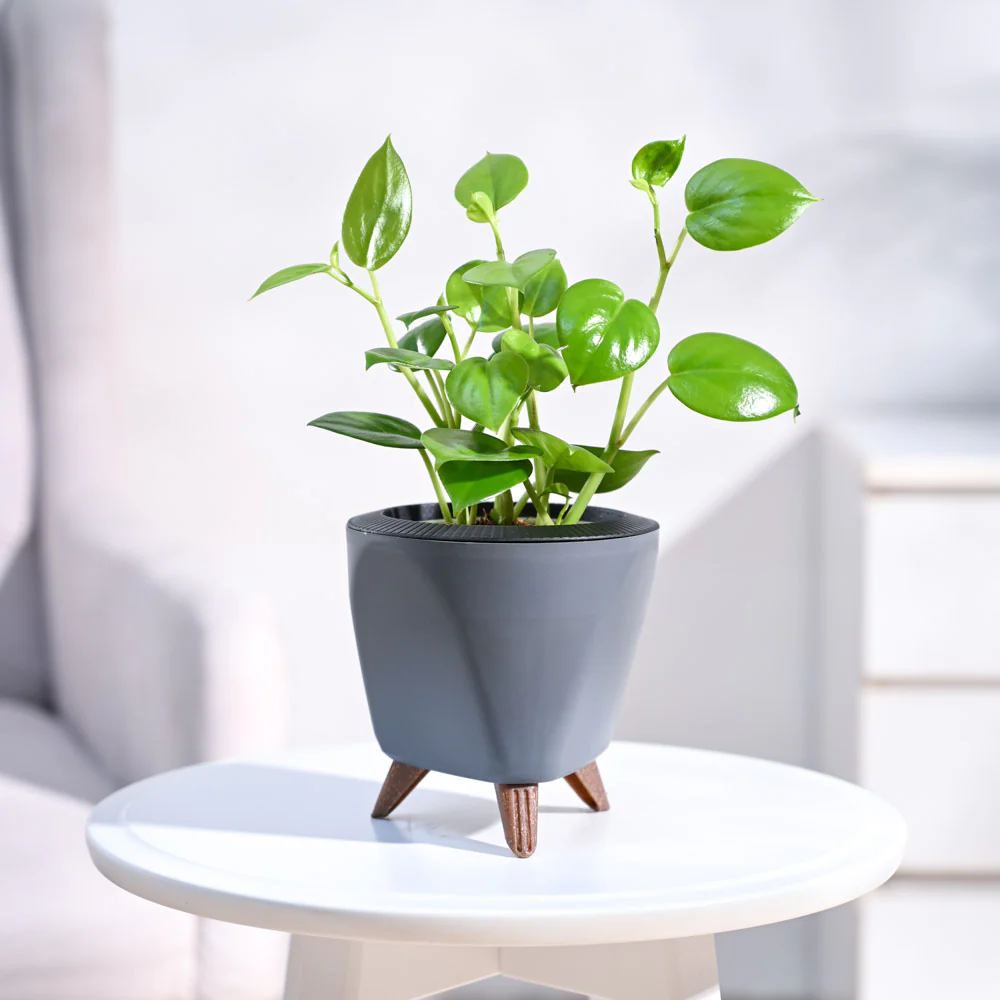 Product image 92
