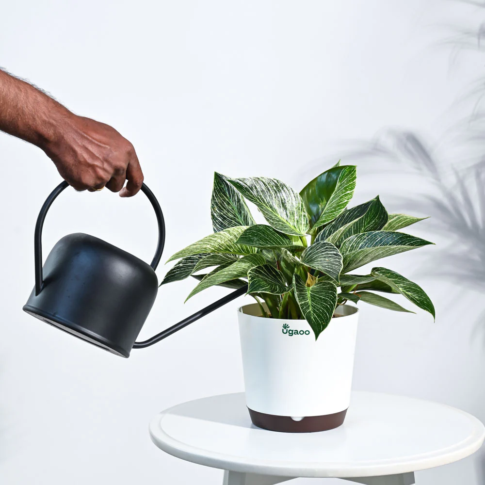 Product image 85