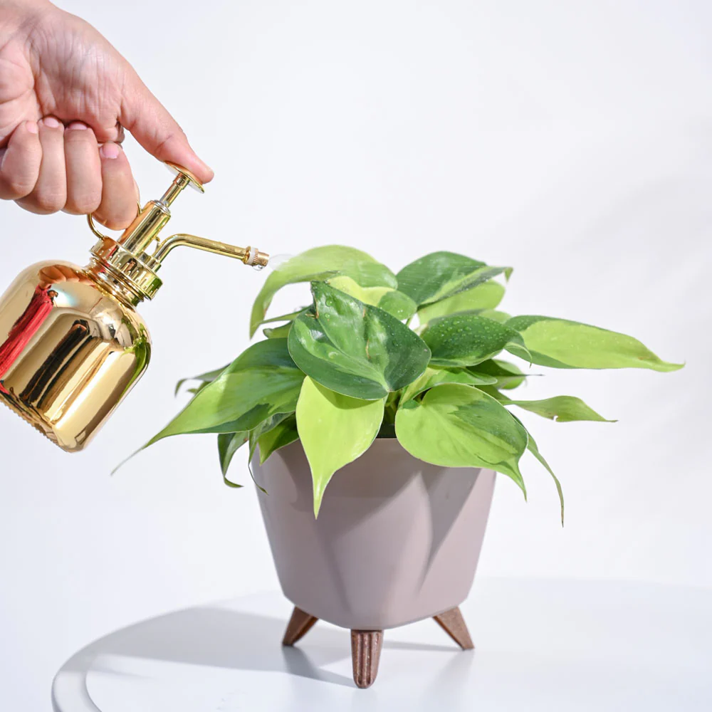 Product image 116