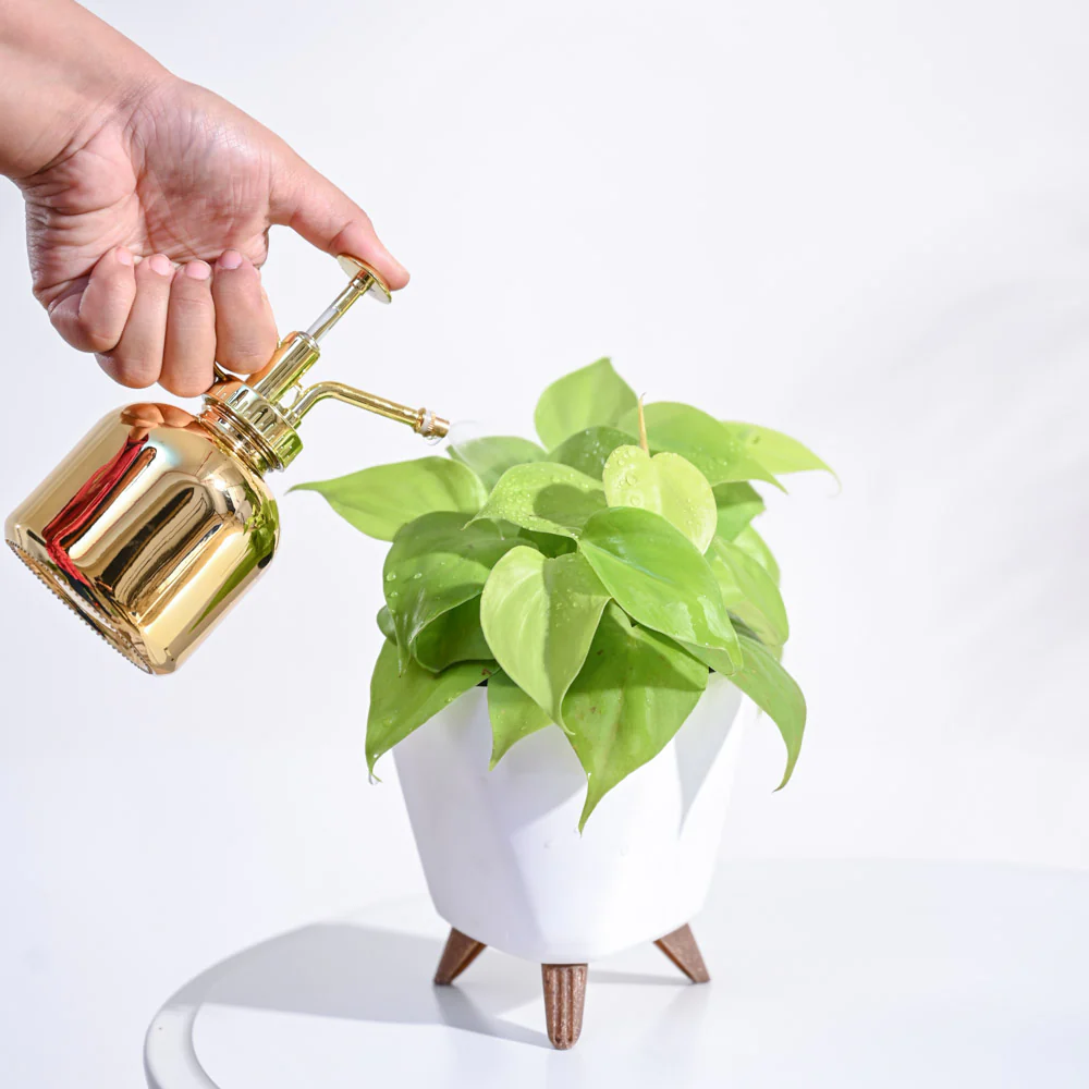 Product image 85