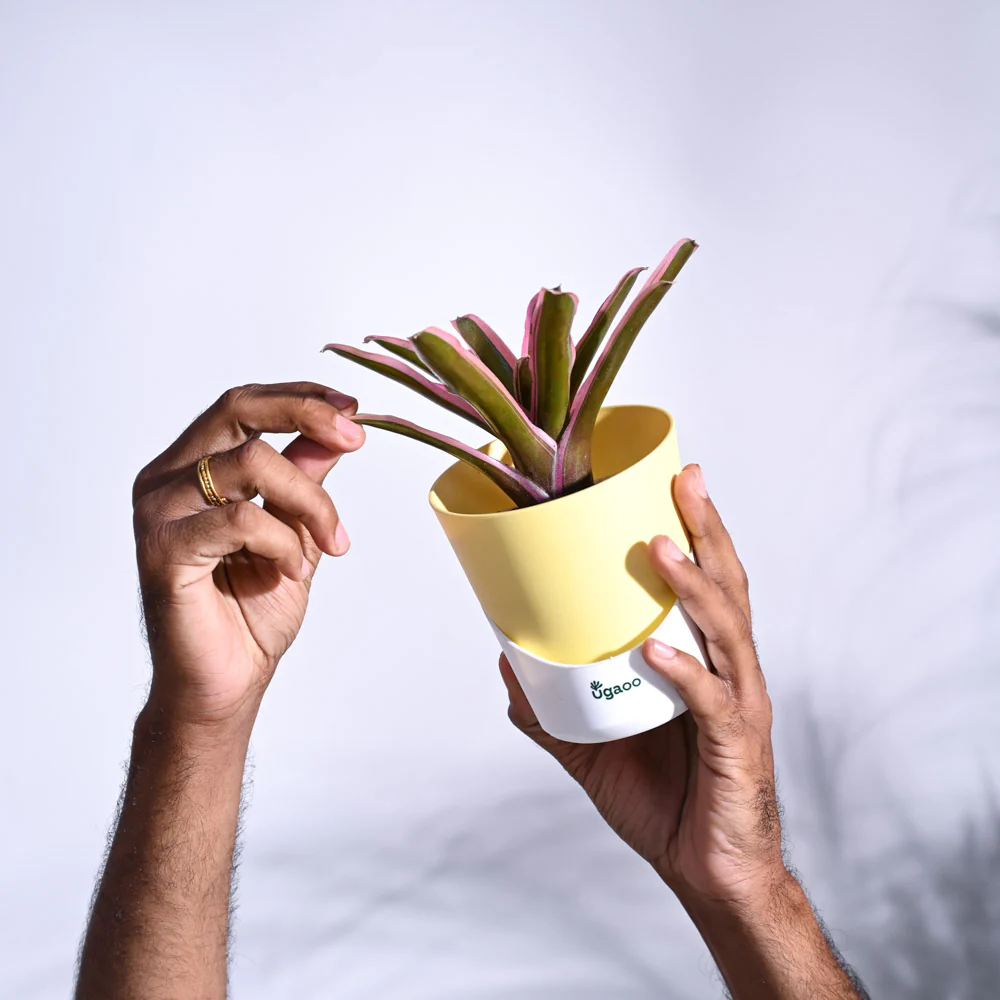 Product image 70