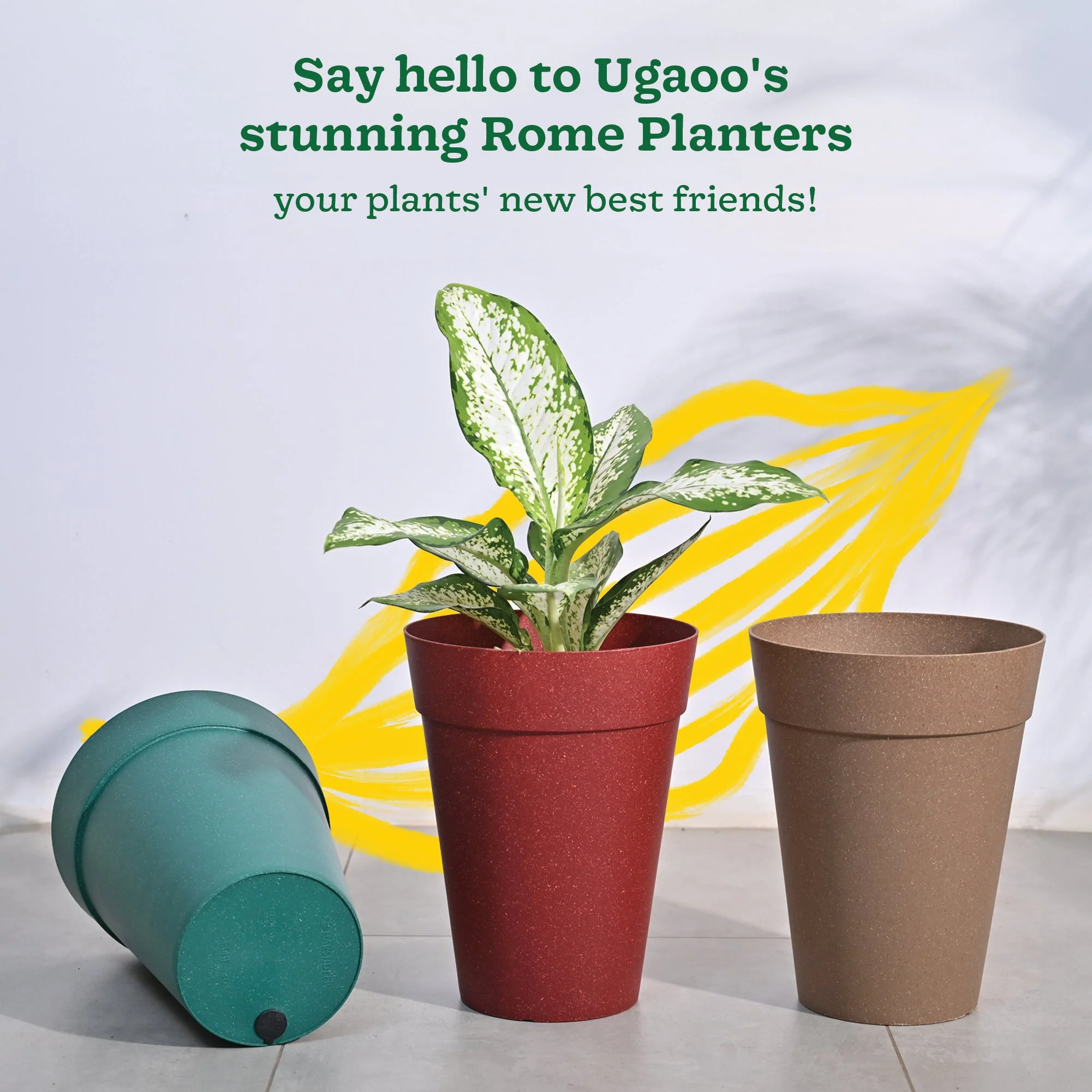 Product image 164