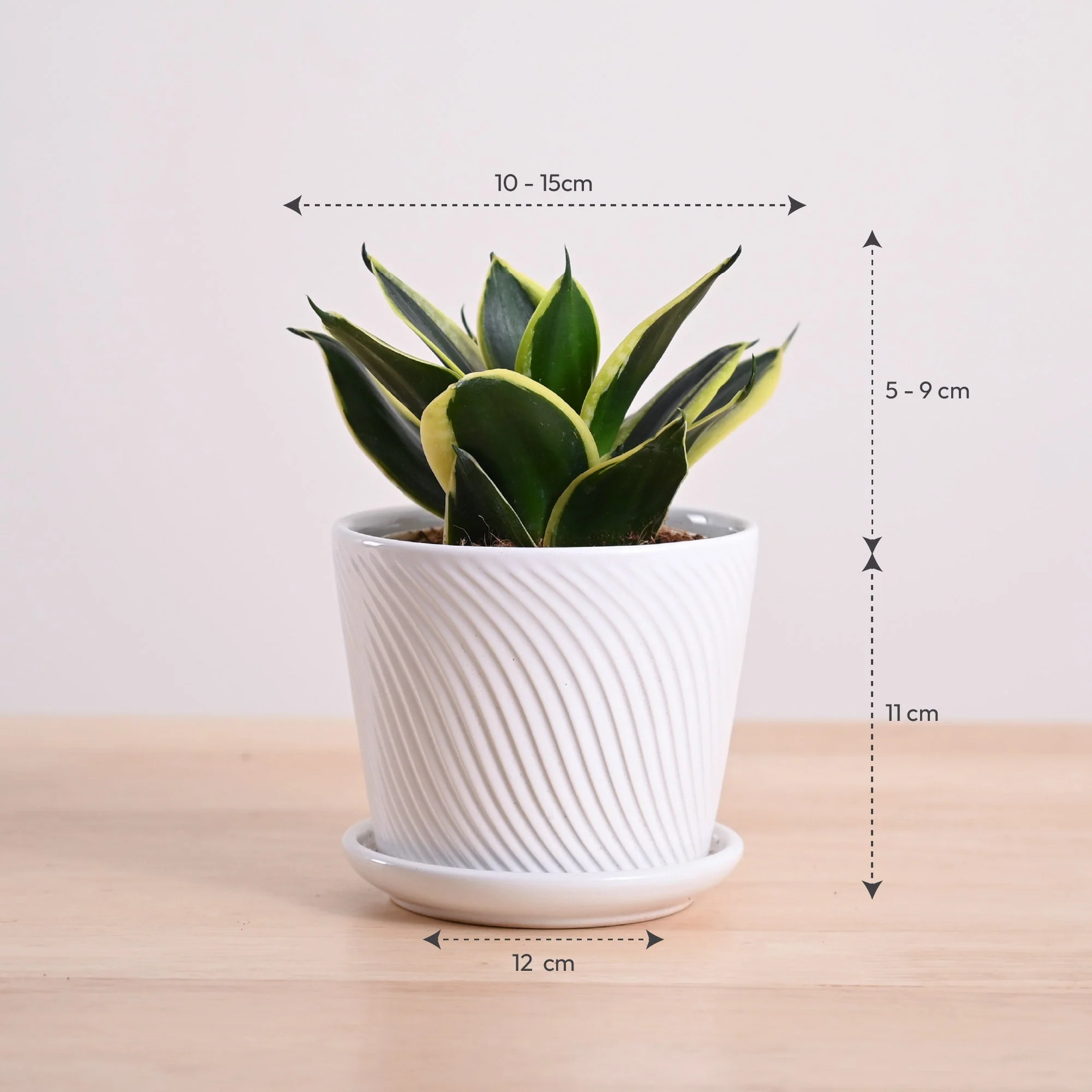 Product image 102