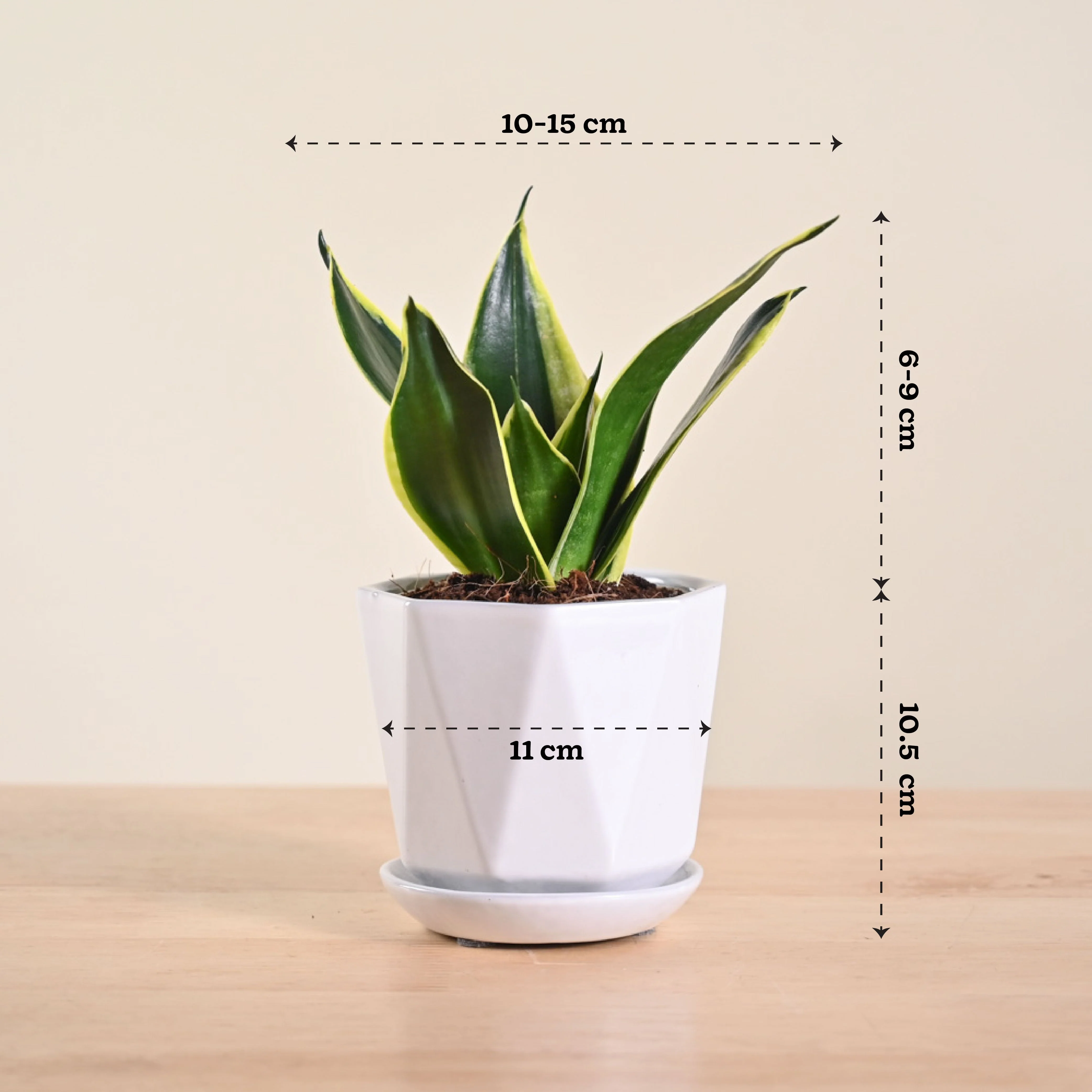Product image 118