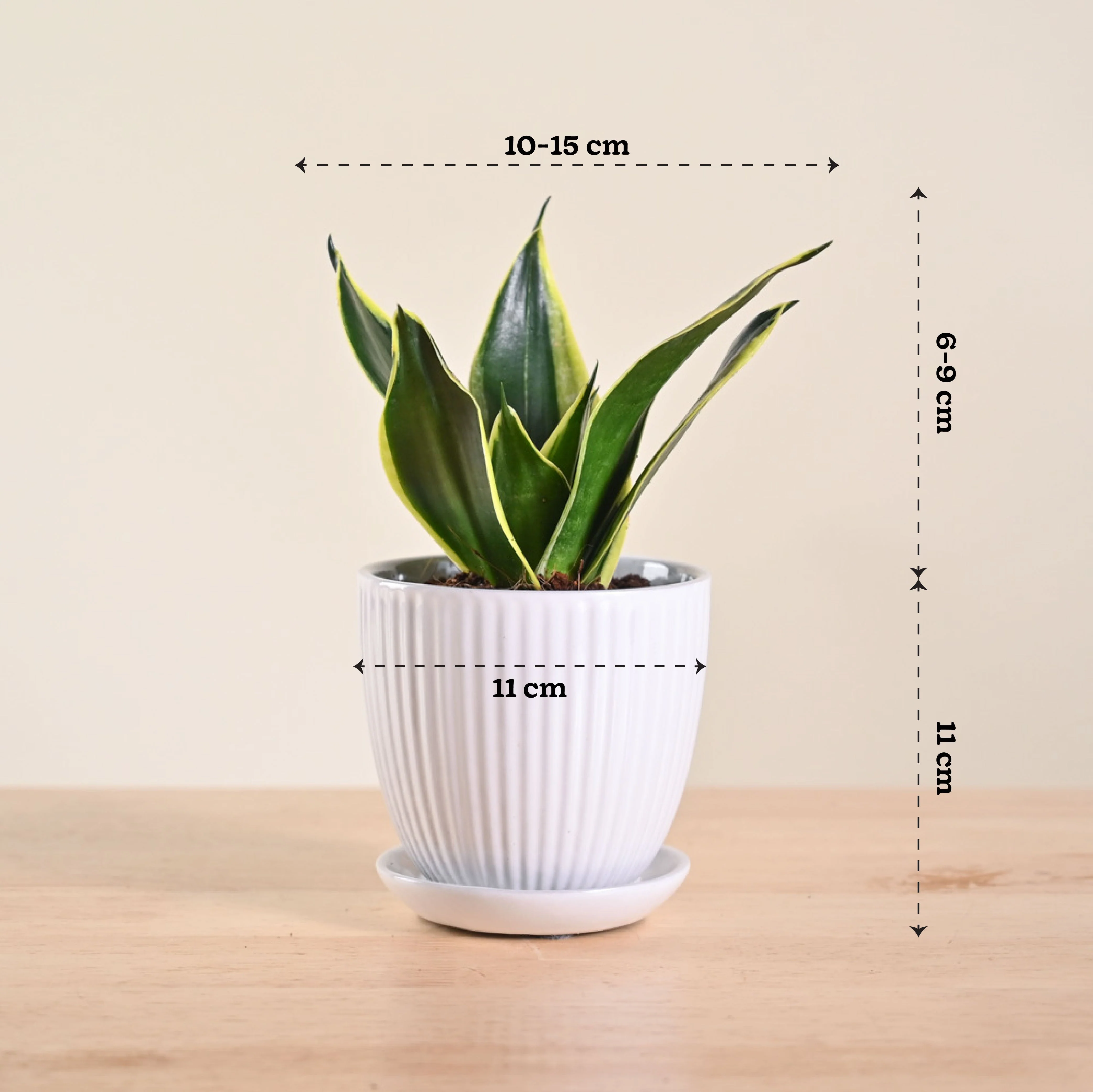 Product image 134