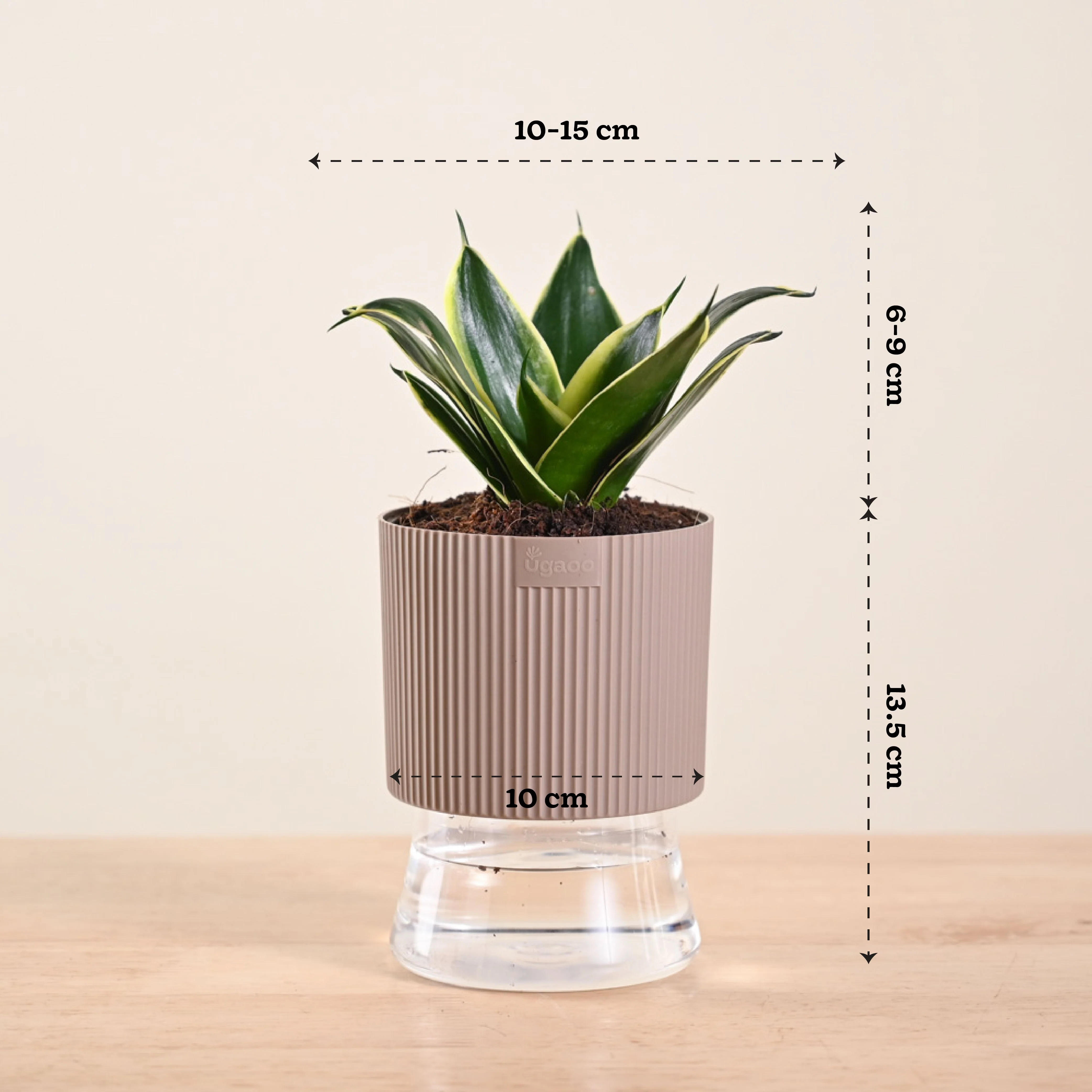 Product image 170
