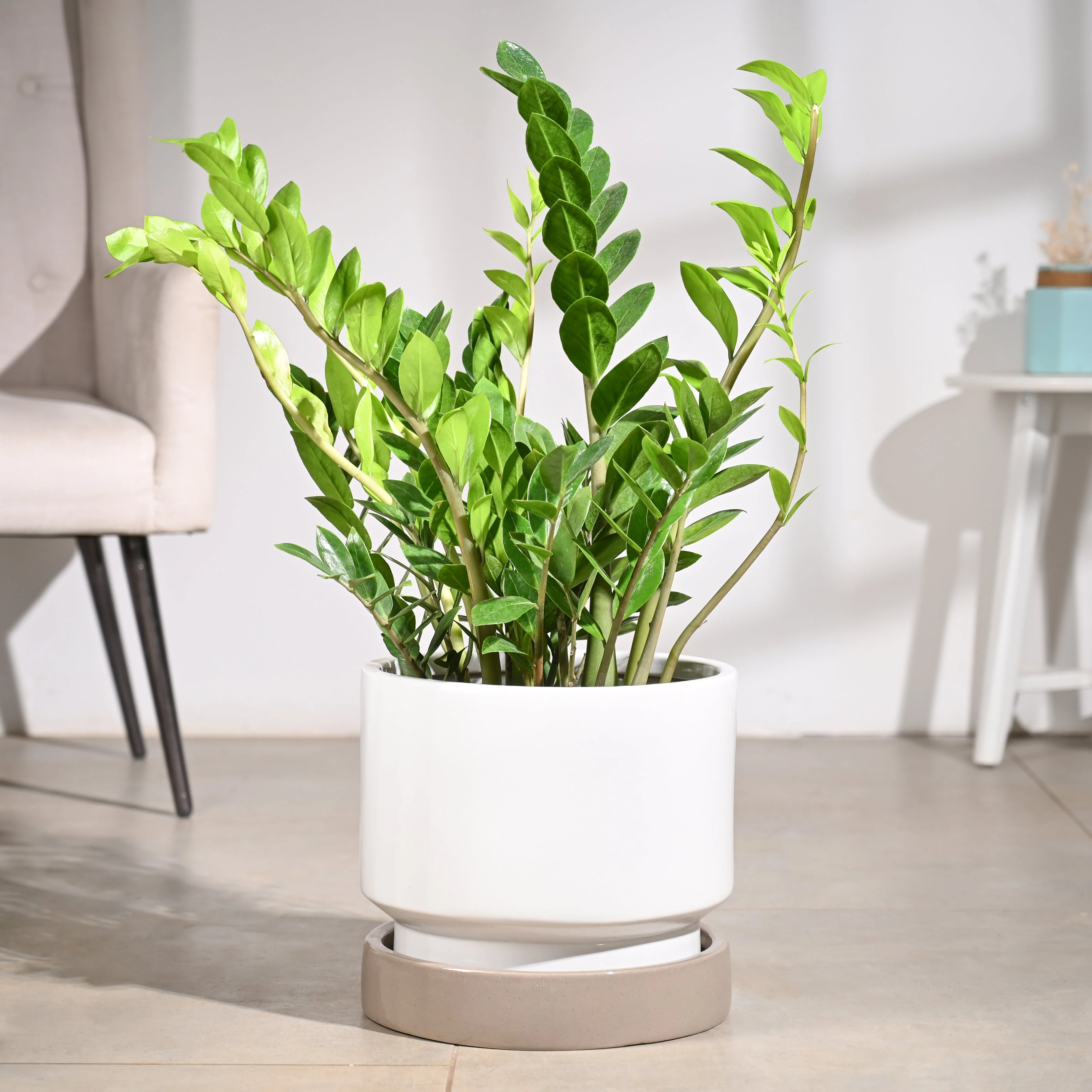 Product image 73