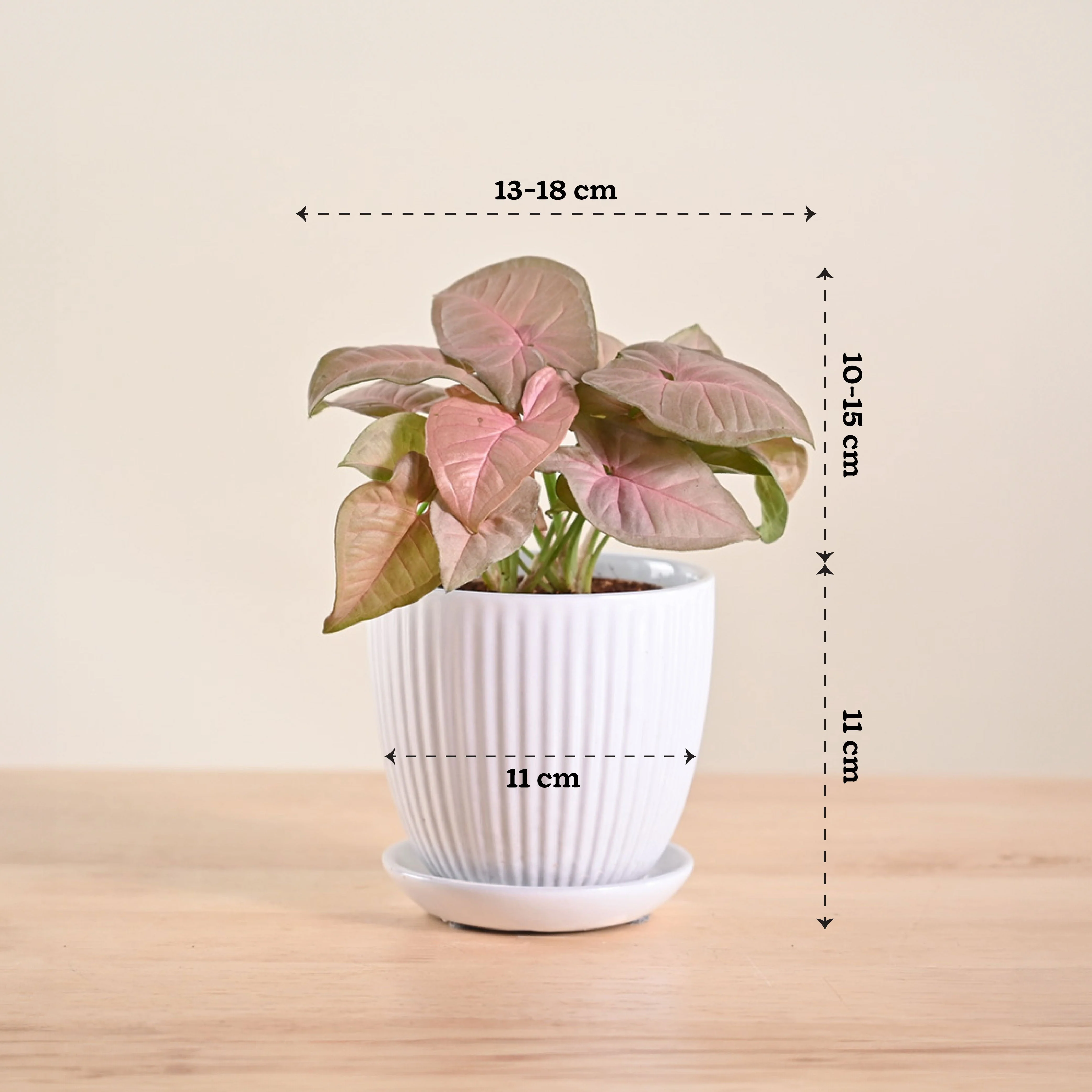 Product image 119