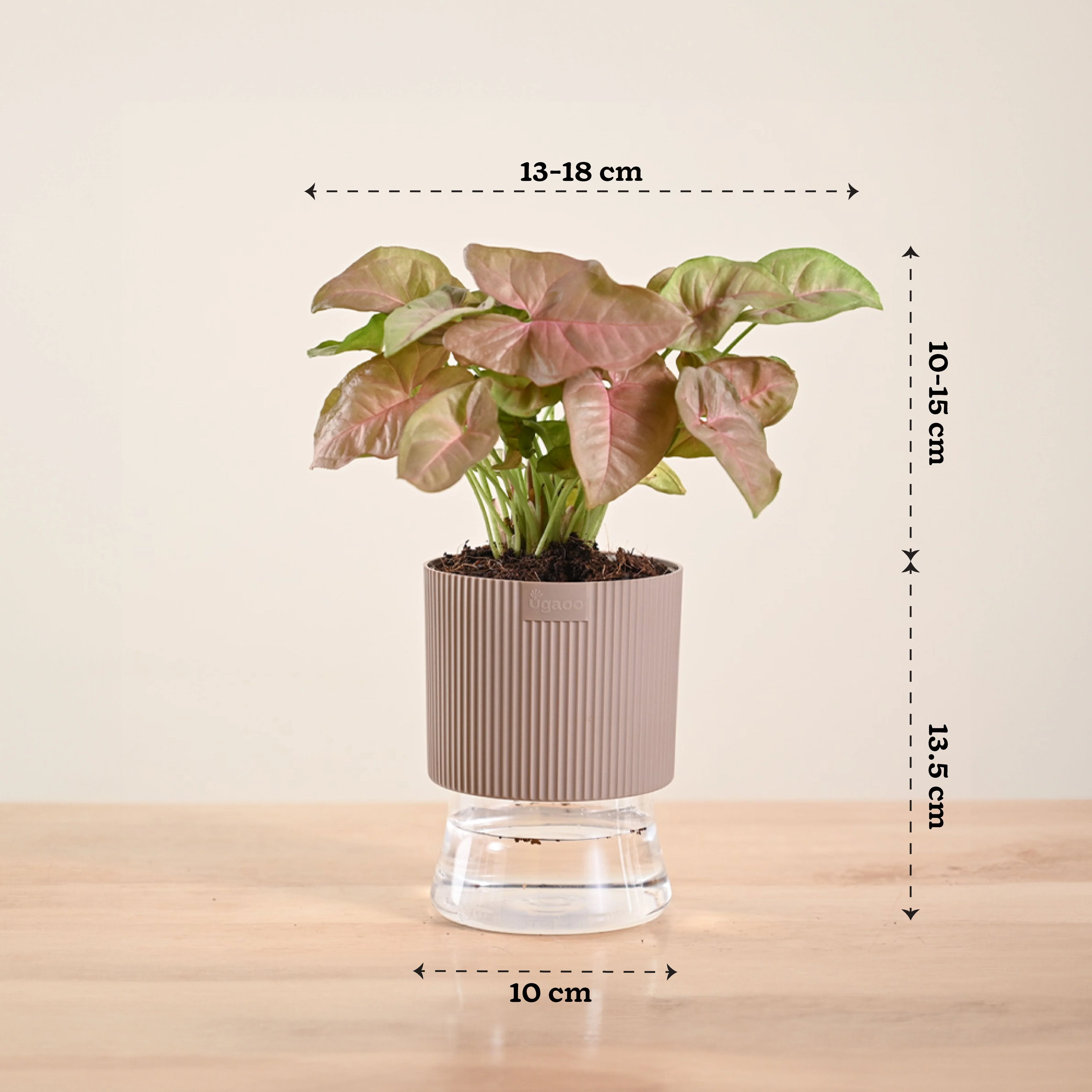 Product image 139