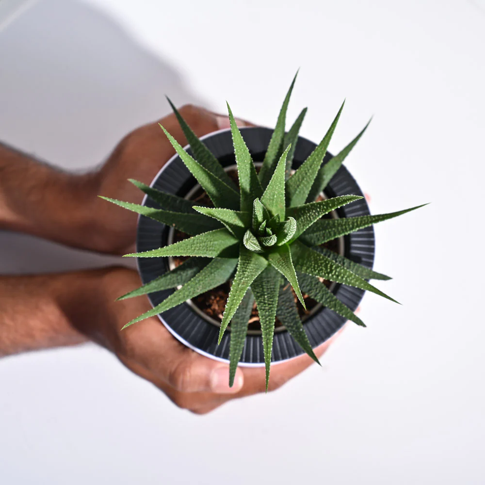 Product image 65