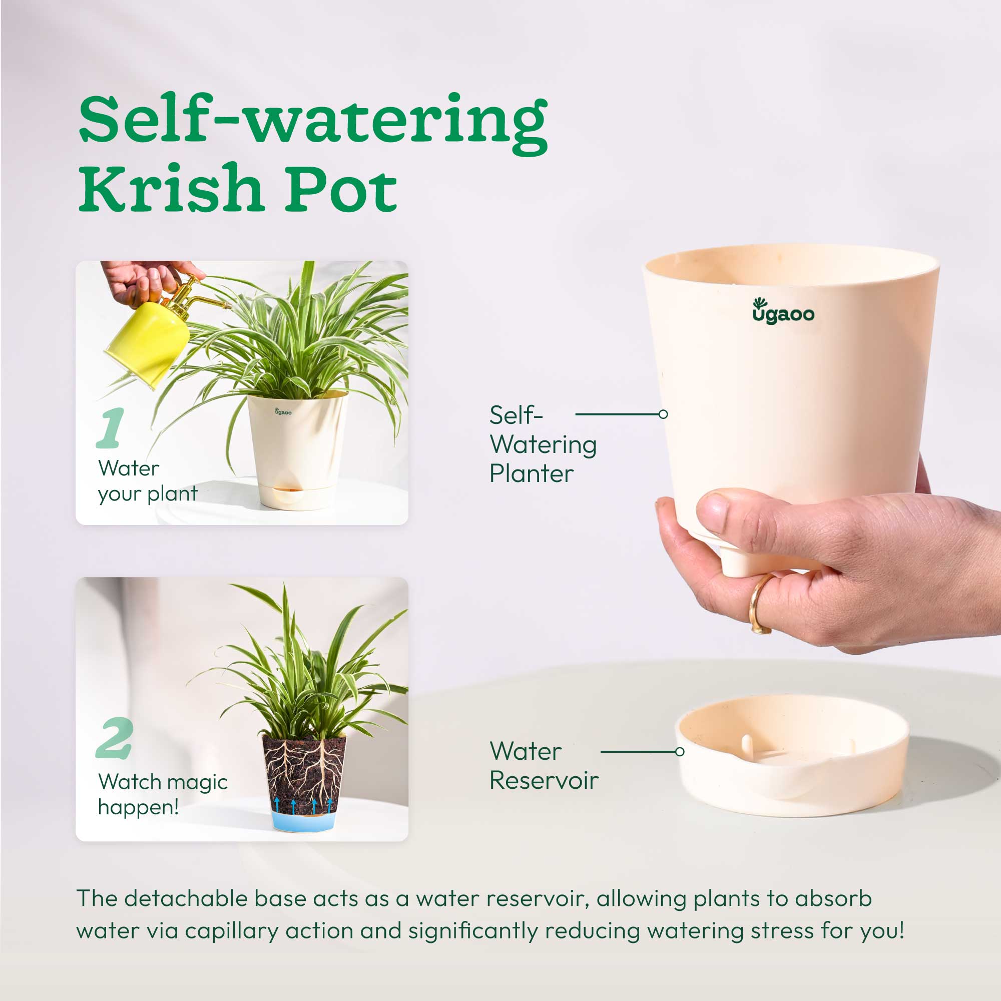 Product image 65